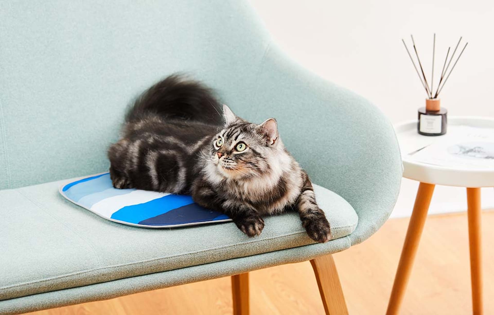 

Chłodząca mata dla kota PetKit Cooling Cat Pad