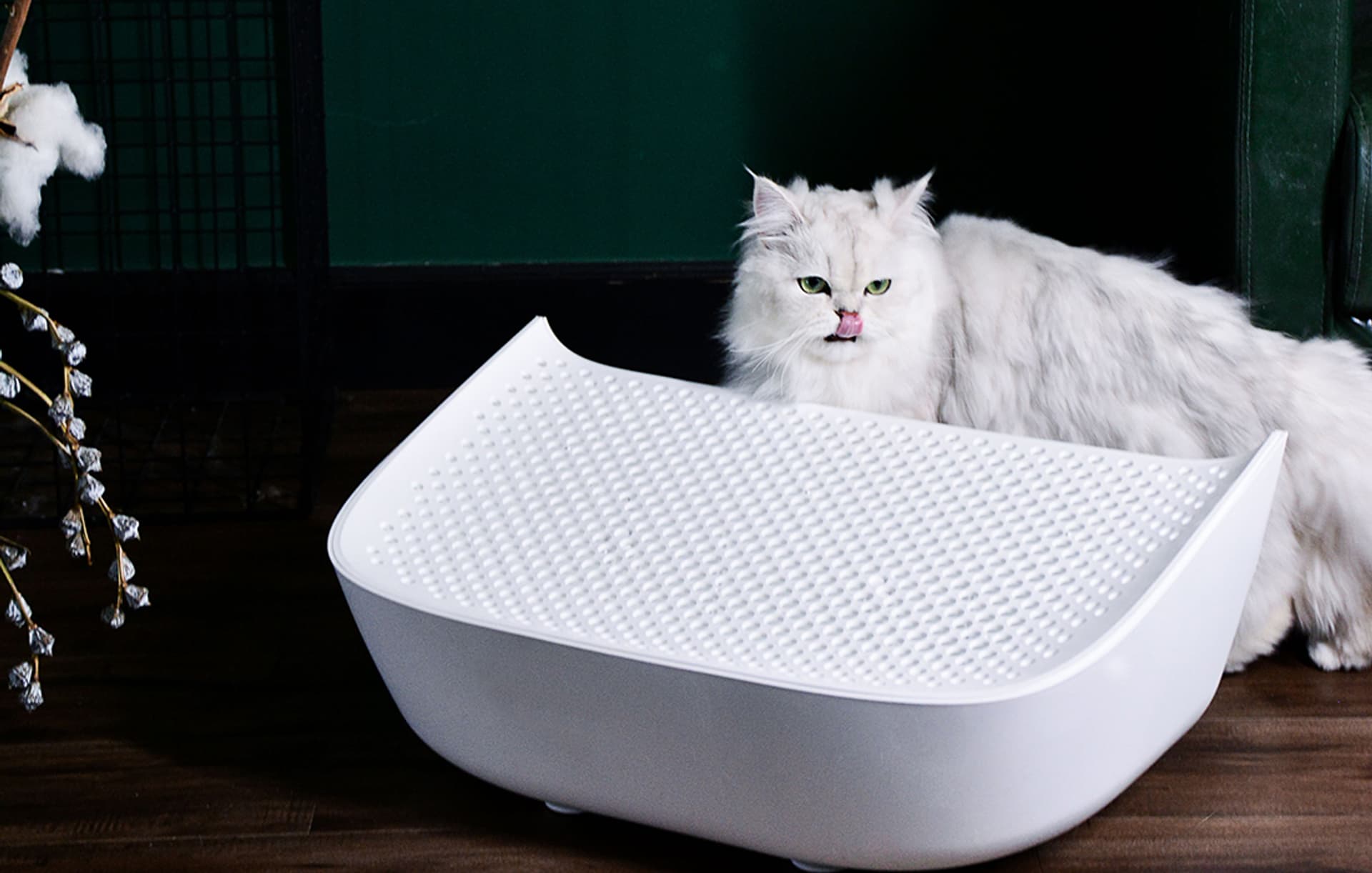 

Schody do kuwet Catlink Scooper (Szary)