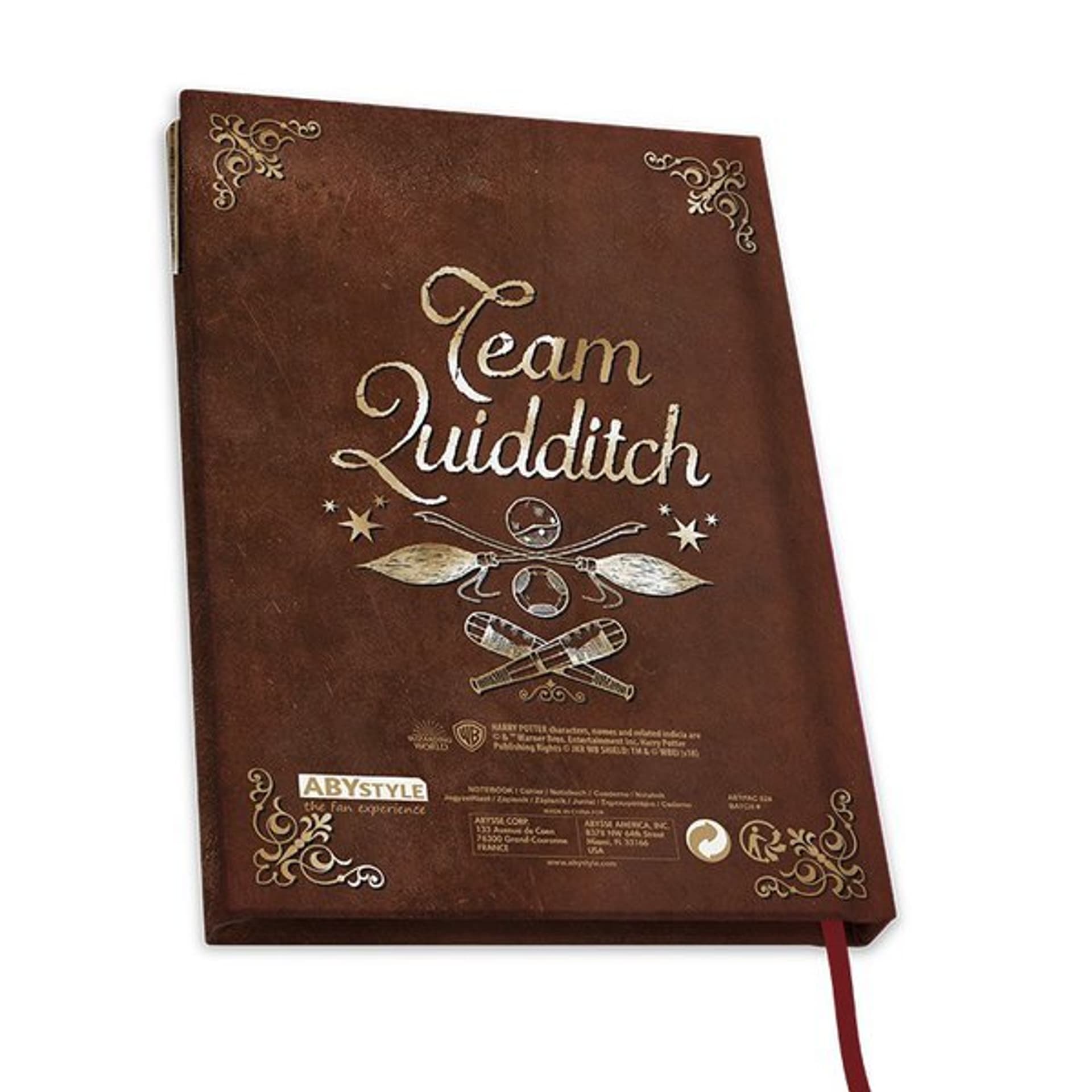 

Notes Quidditch - HARRY POTTER