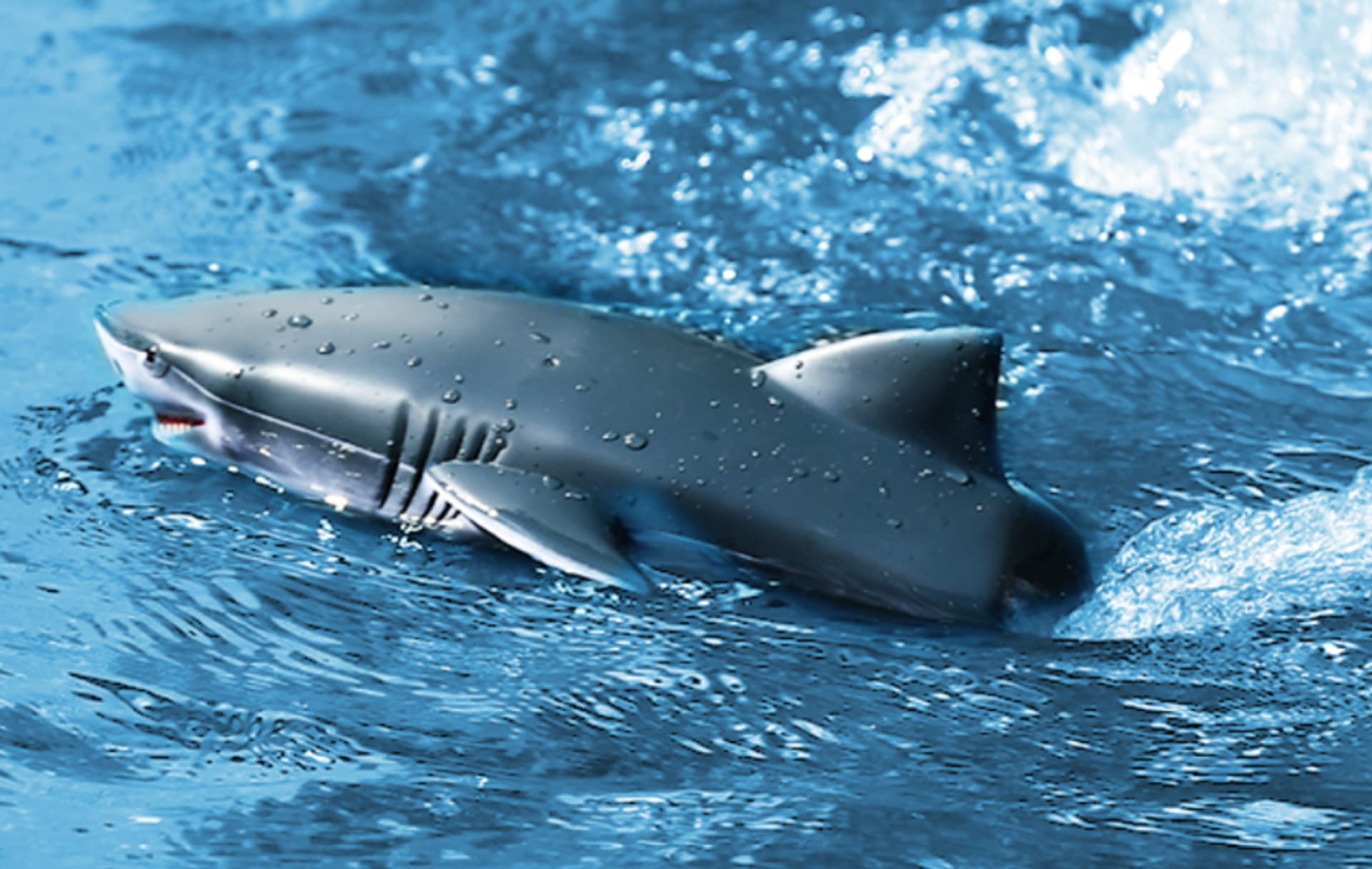 

Shark 1:18 2.4GHz - biały