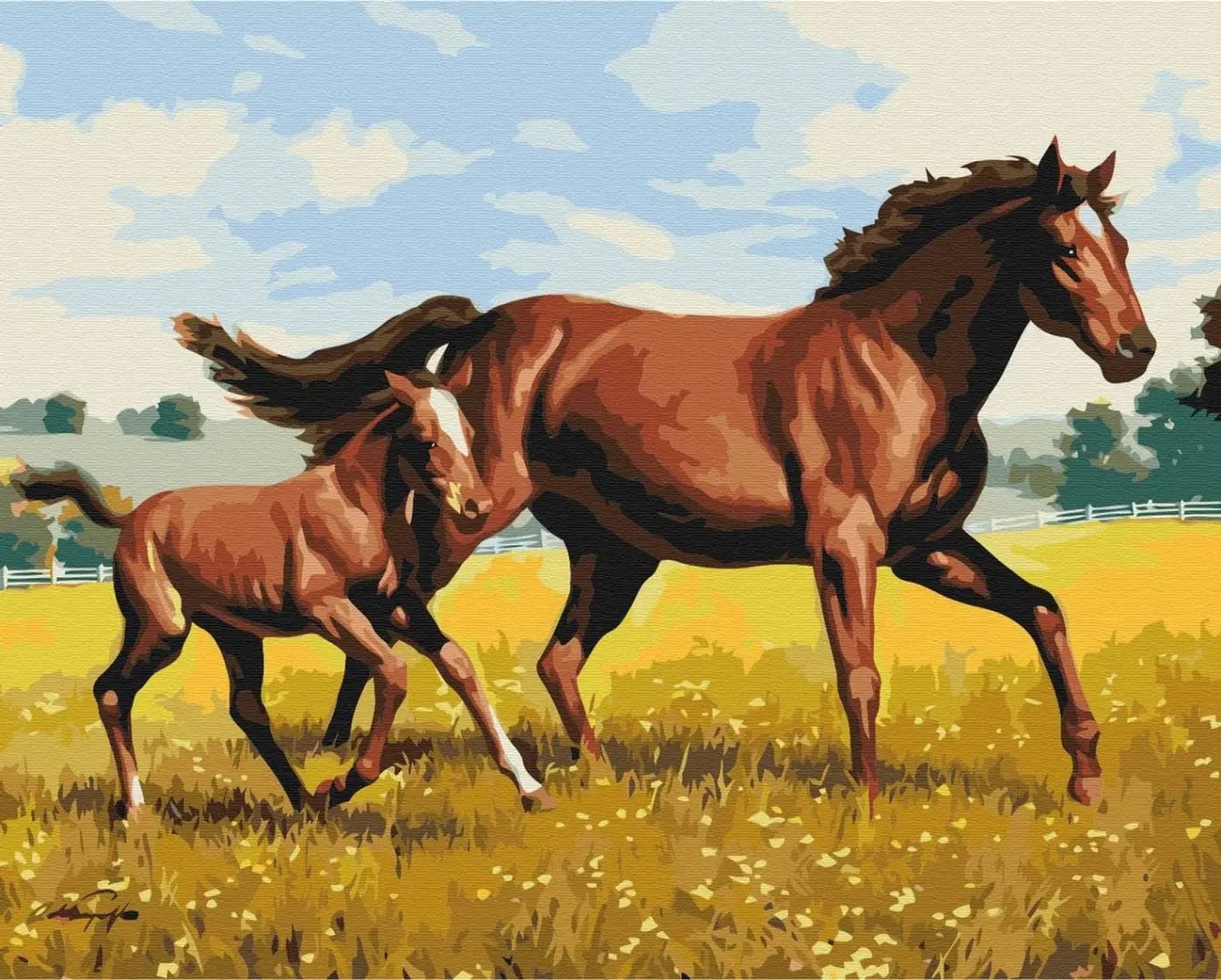 

Obraz Malowanie po numerach - Rodzinny galop