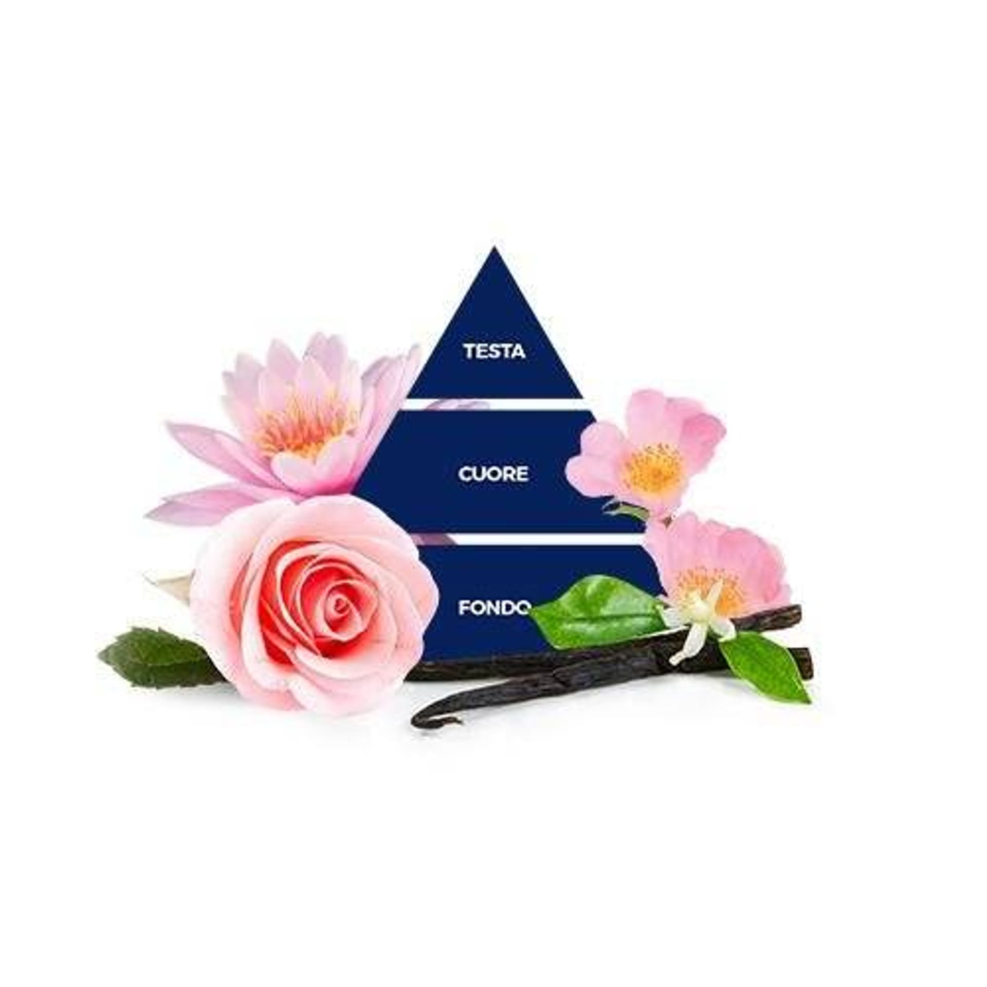 

Felce Azzurra Rosa e Fiori di Loto Saszetki Zapachowe 3 szt.