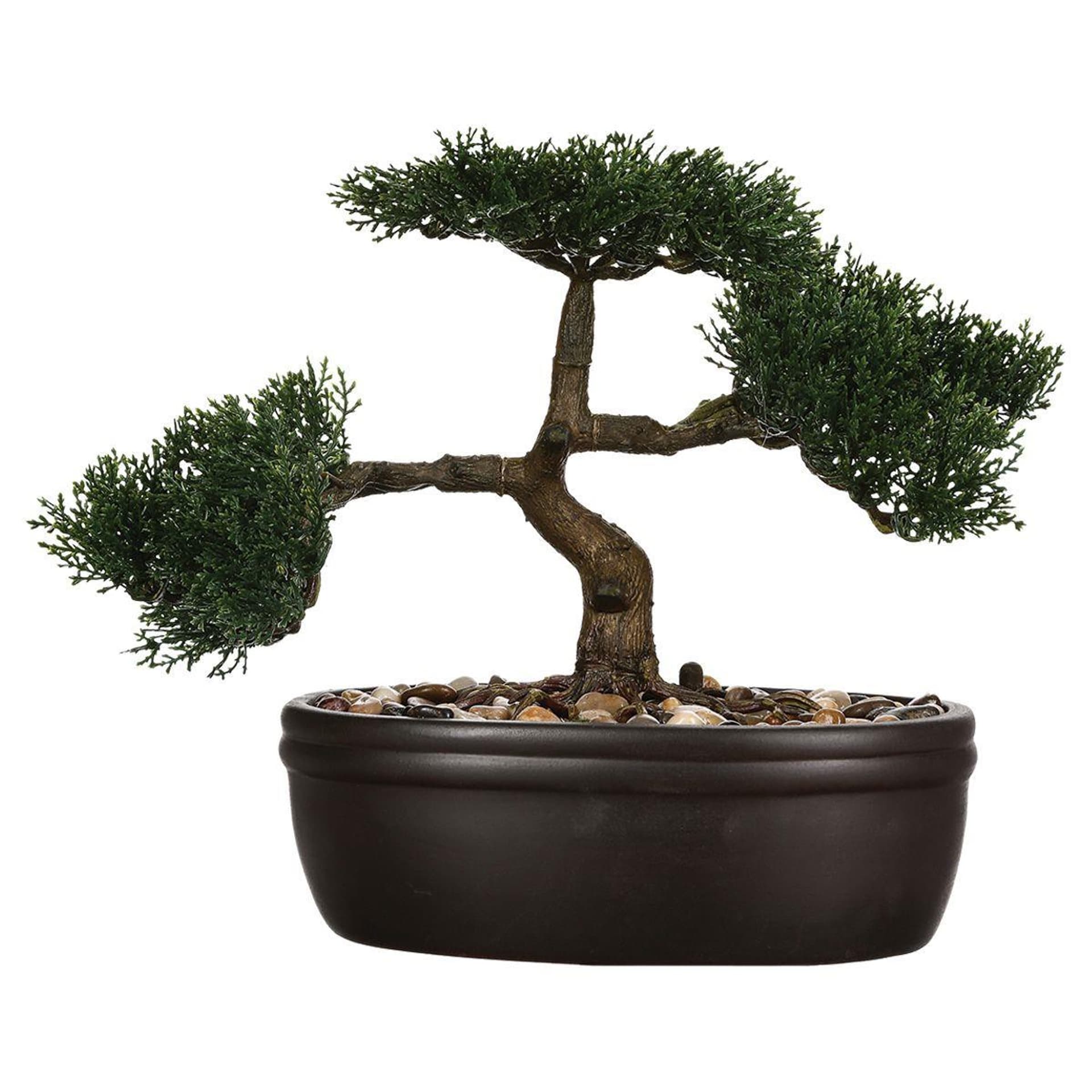

Drzewko bonsai w czarnej doniczce 23 cm
