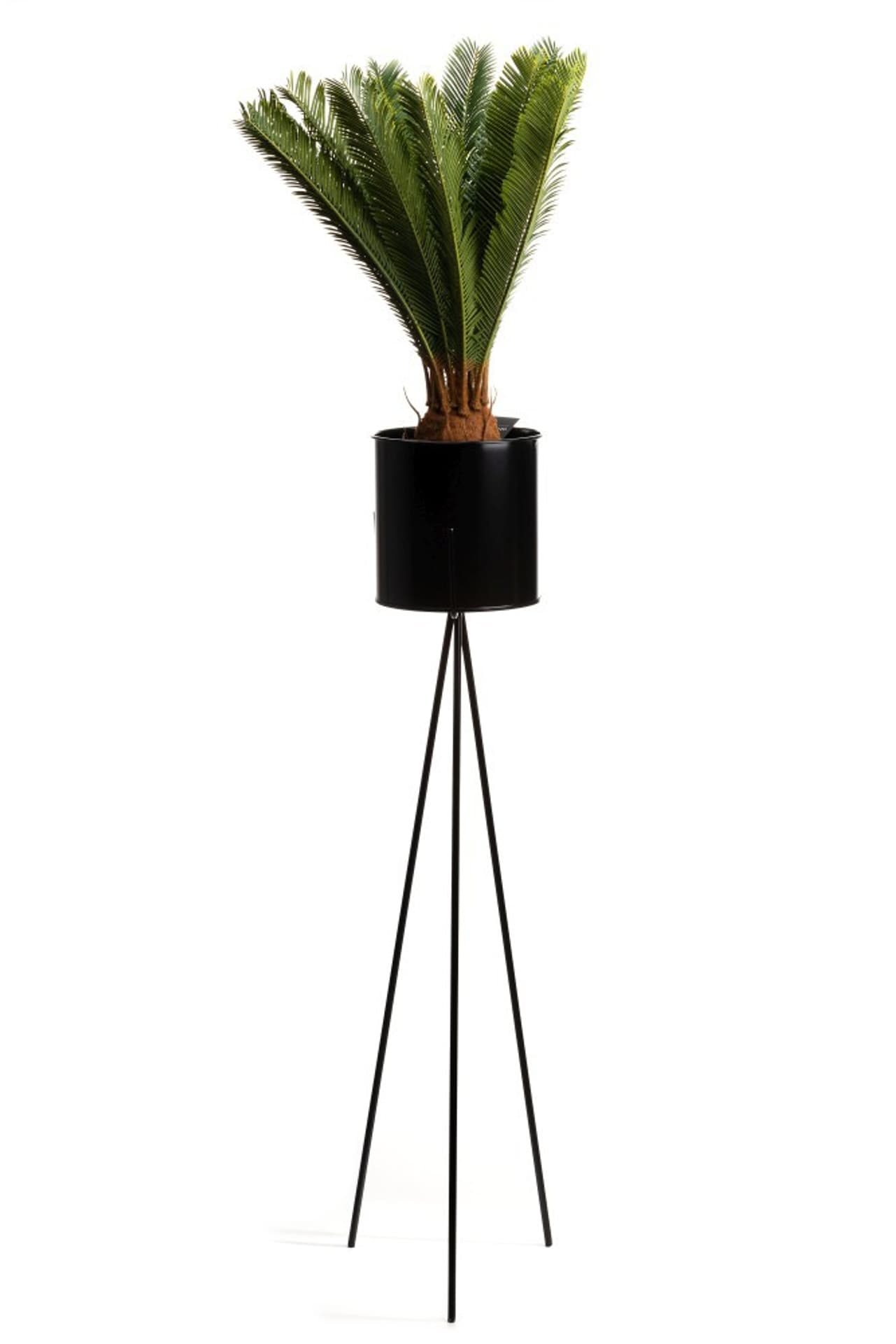 

Kwietnik stojący TRIPOD 110 czarny LOFT