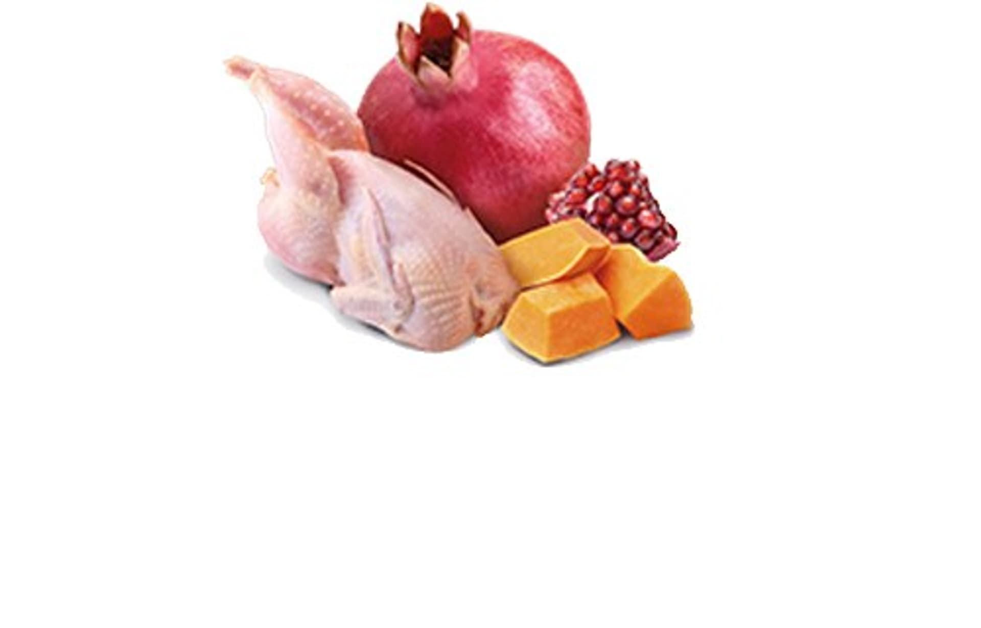 

FARMINA N&D DOG QUAIL & PUMPKIN - mokra karma dla psa - puszka 285g