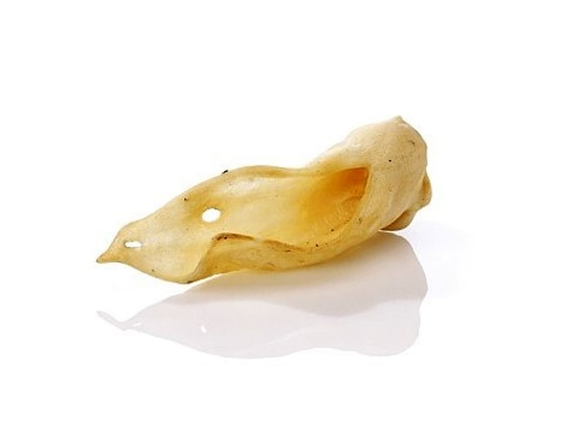 

VECTOR-FOOD Uszy jagnięce [B29] 20szt