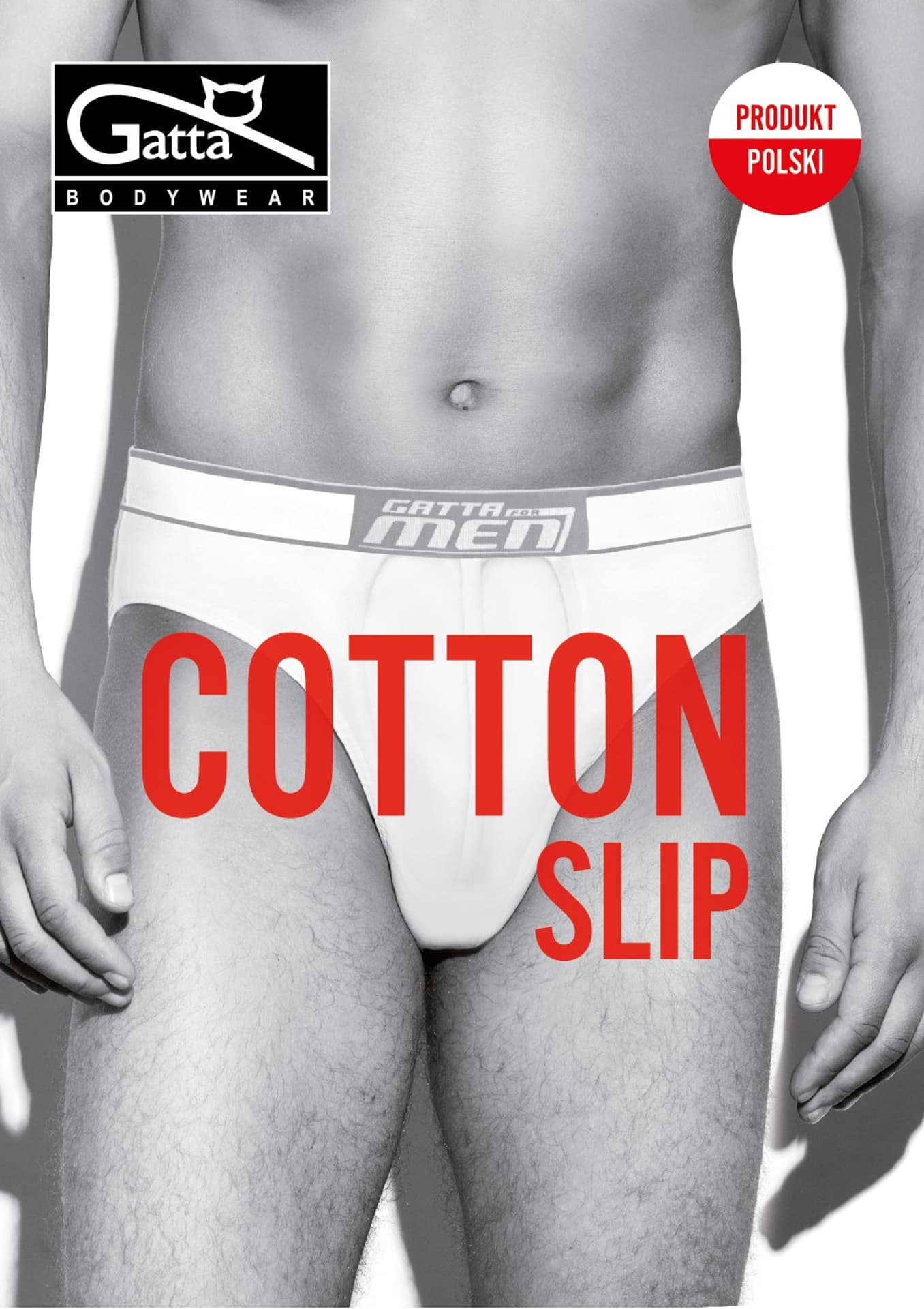 

SLIPY MĘSKIE COTTON (kolor black, rozmiar M)
