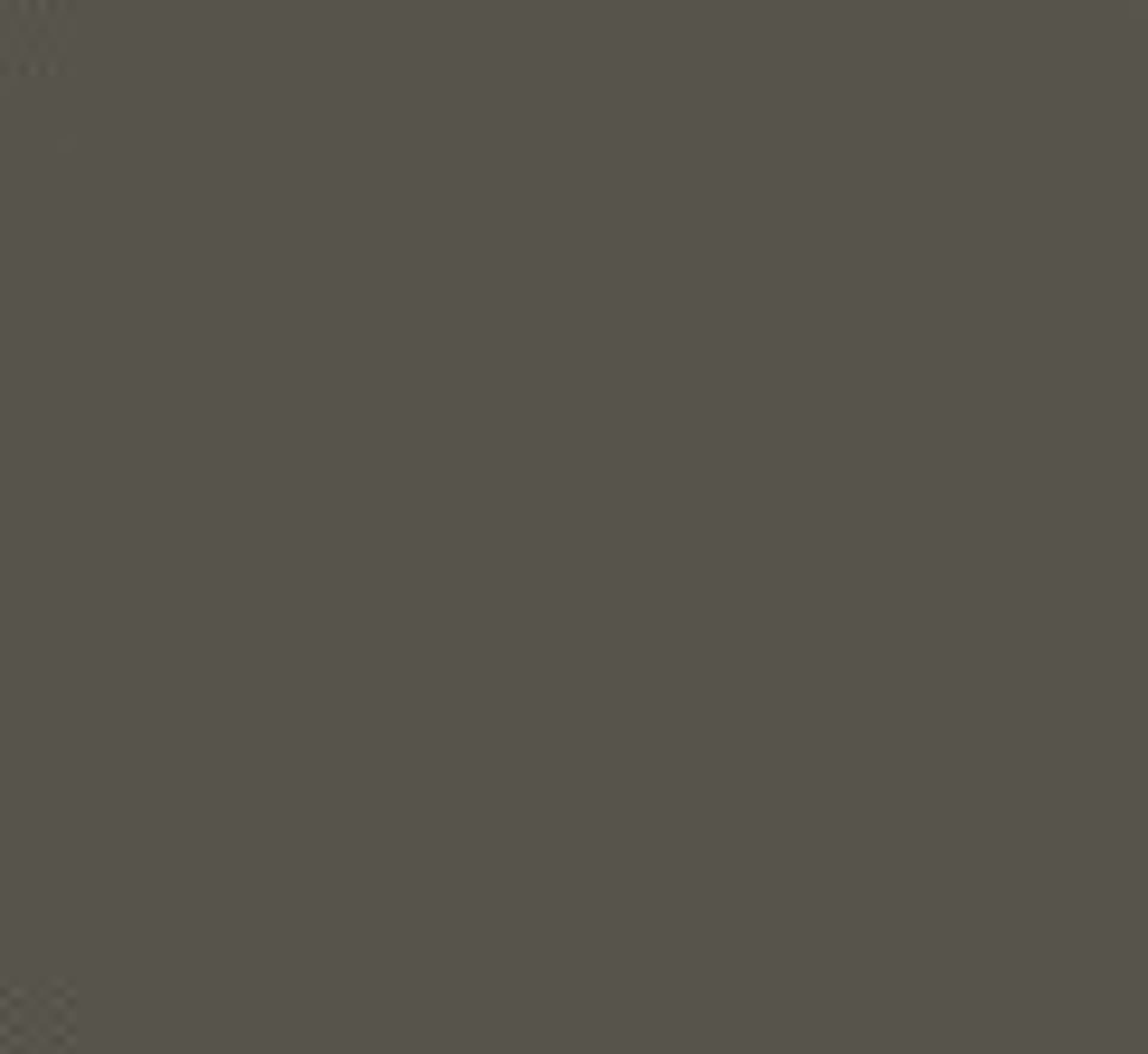 

RAJSTOPY VELOUR 15 (kolor beige natural, rozmiar 4)