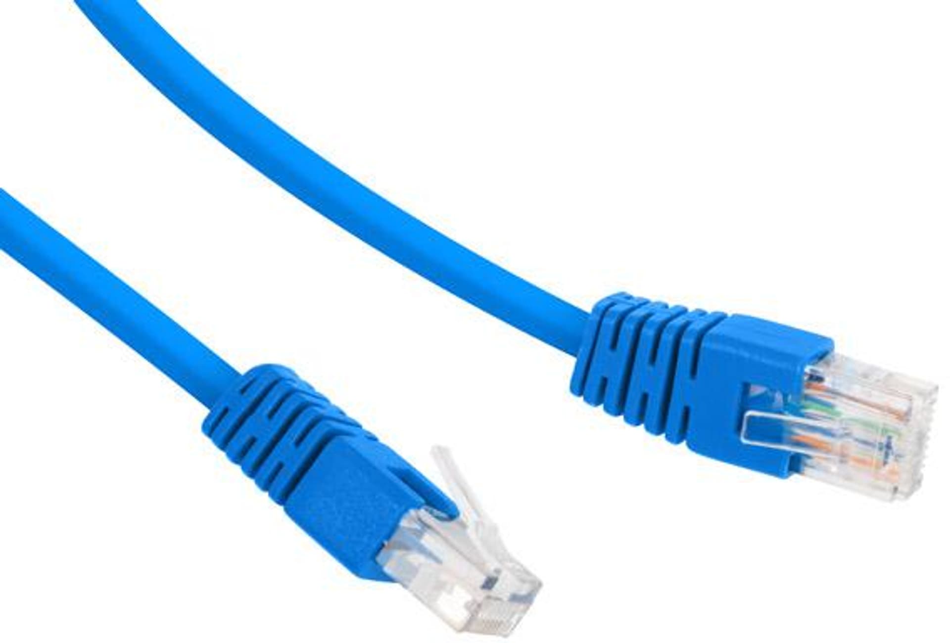 

Patch cord kat.5e osłonka zalewana 1.5M niebieski