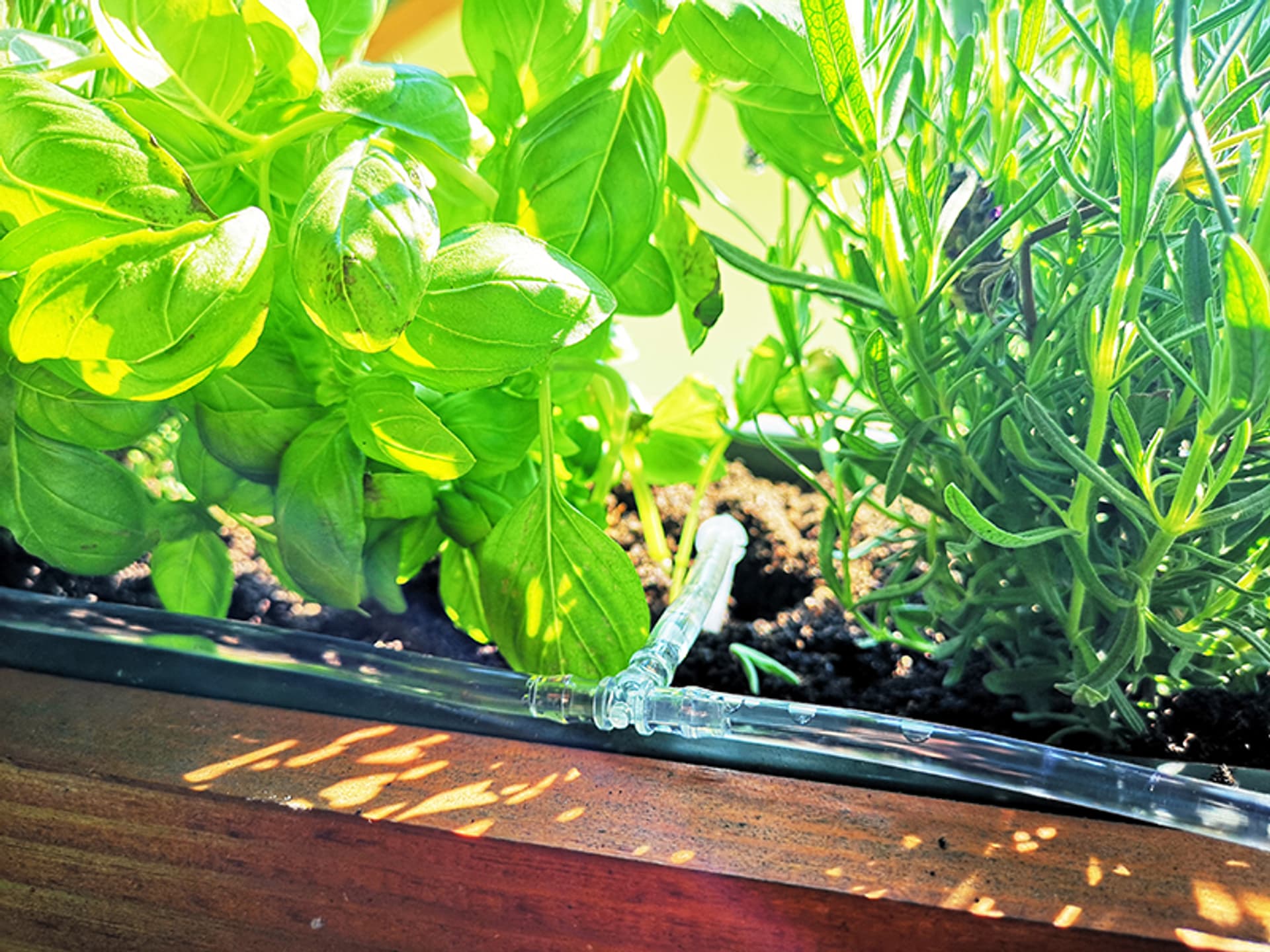 

3854# Nawadniacz automatyczny