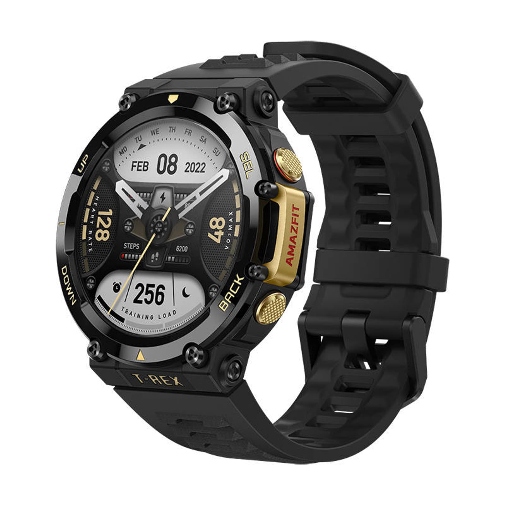 

Smartwatch Amazfit T-Rex 2 (Astro Black & Gold)