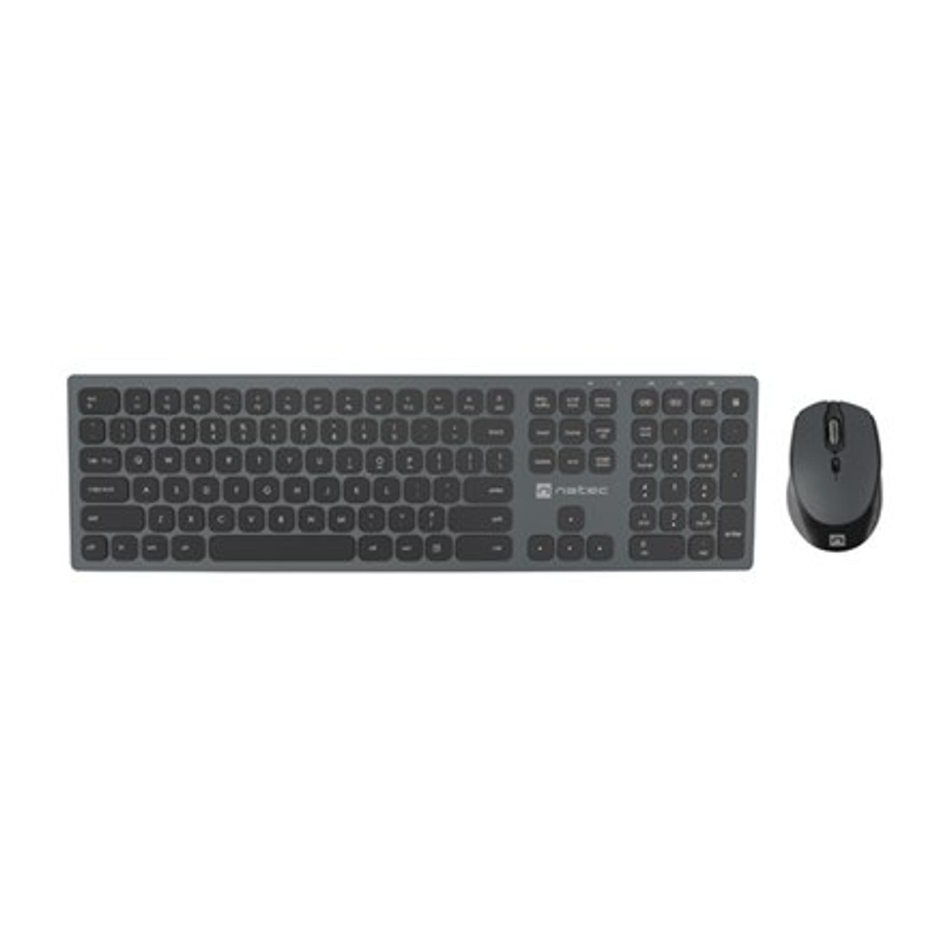 

Natec Keyboard, US Layout, Wireless + Mouse, Octopus, 2in1 Bundle