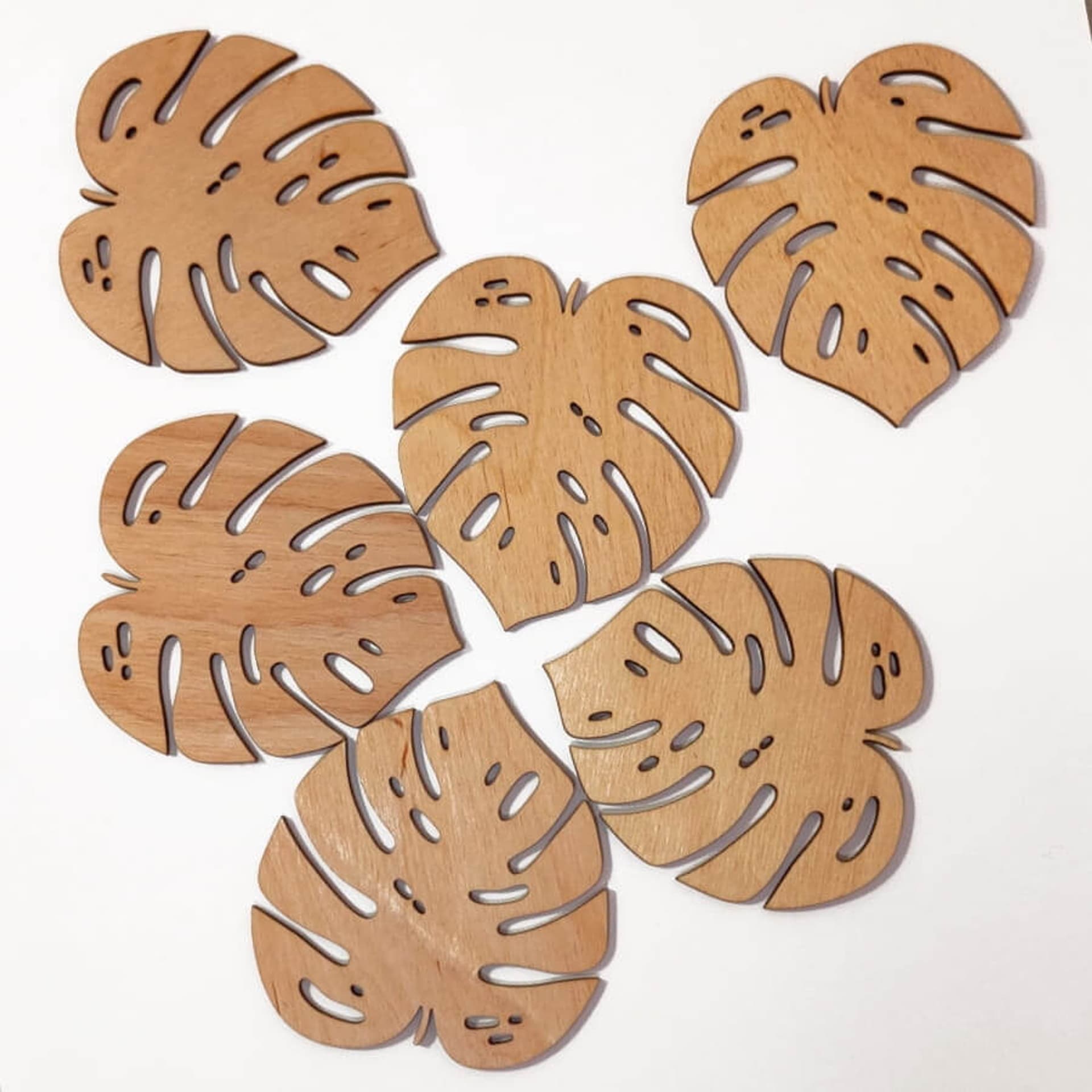 

Monstera - ECO podkładki pod kubek 6 szt.