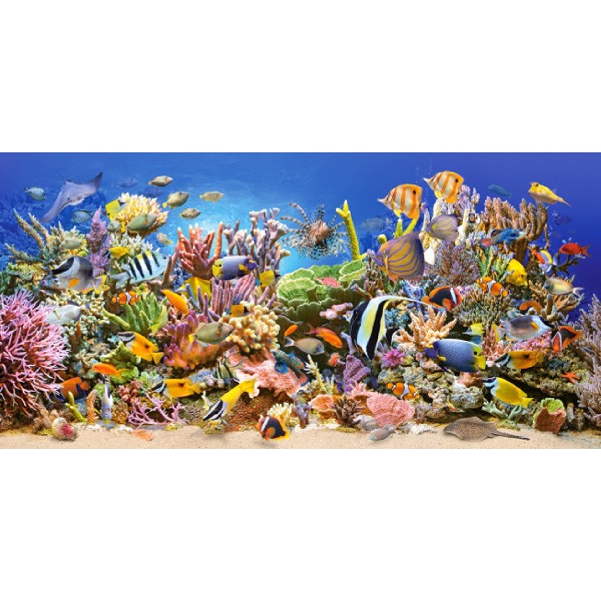 

Puzzle 4000 elementów Podwodne Życie