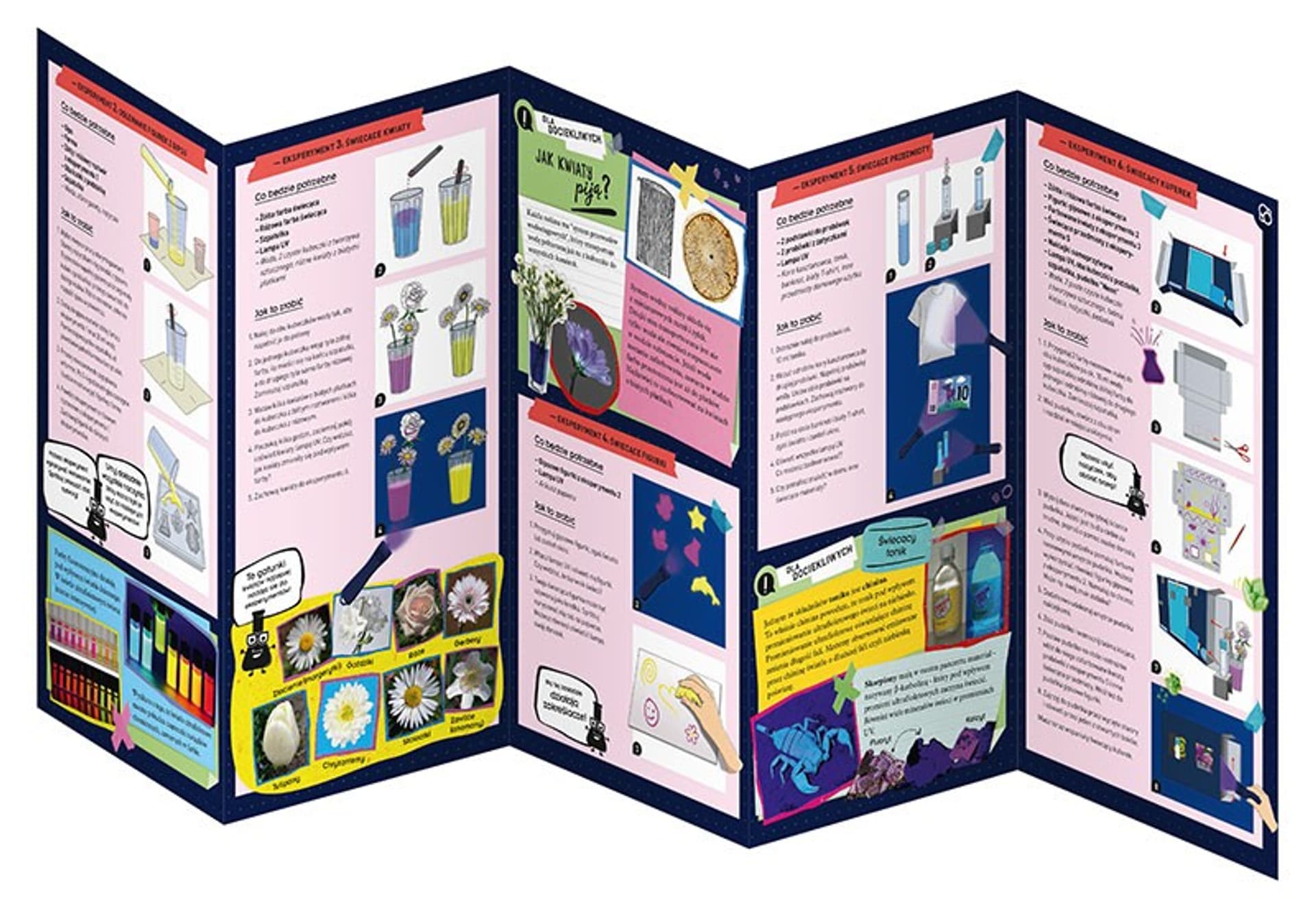 

Zestaw Fun Science - Glow In The Dark