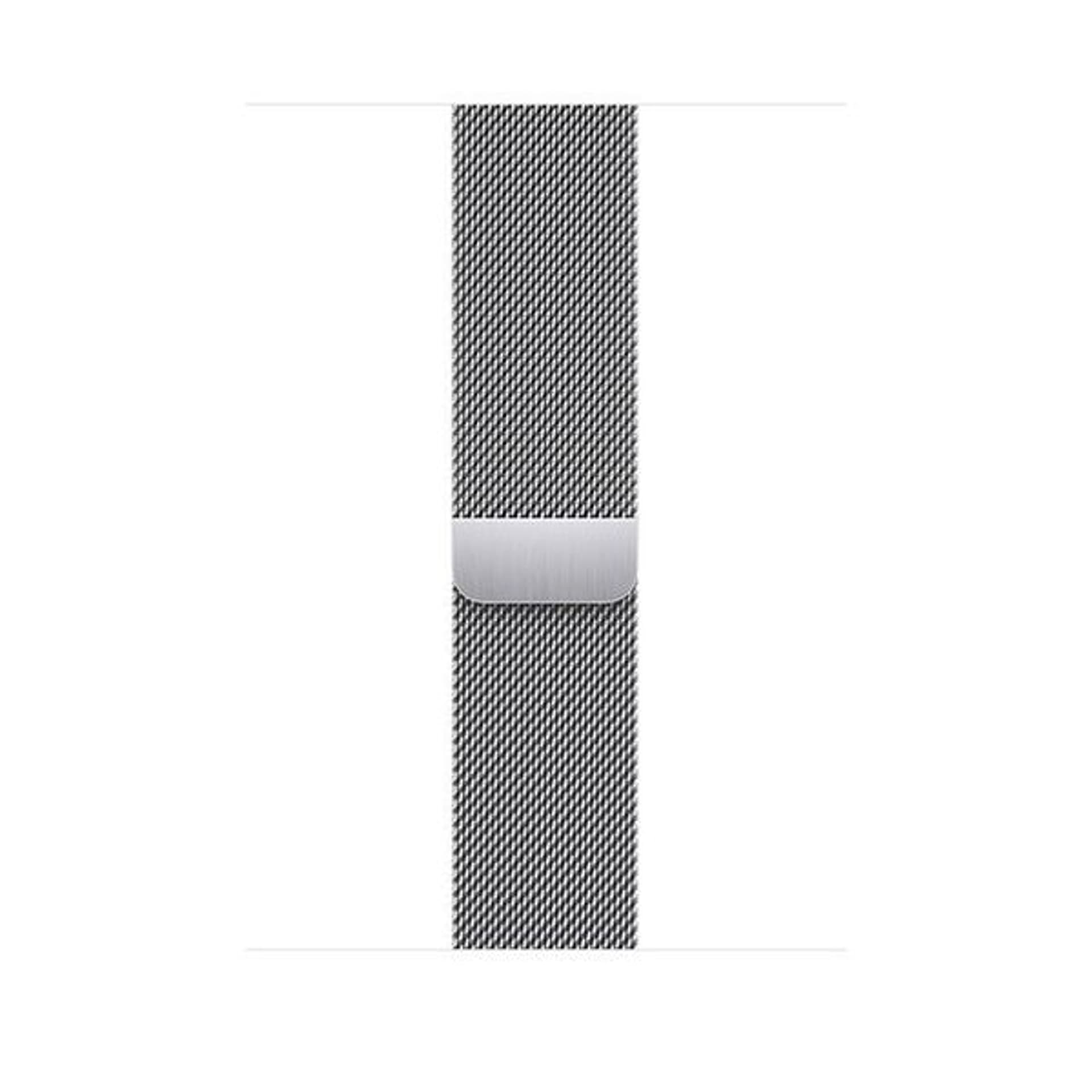 

45mm Silver Milanese Loop