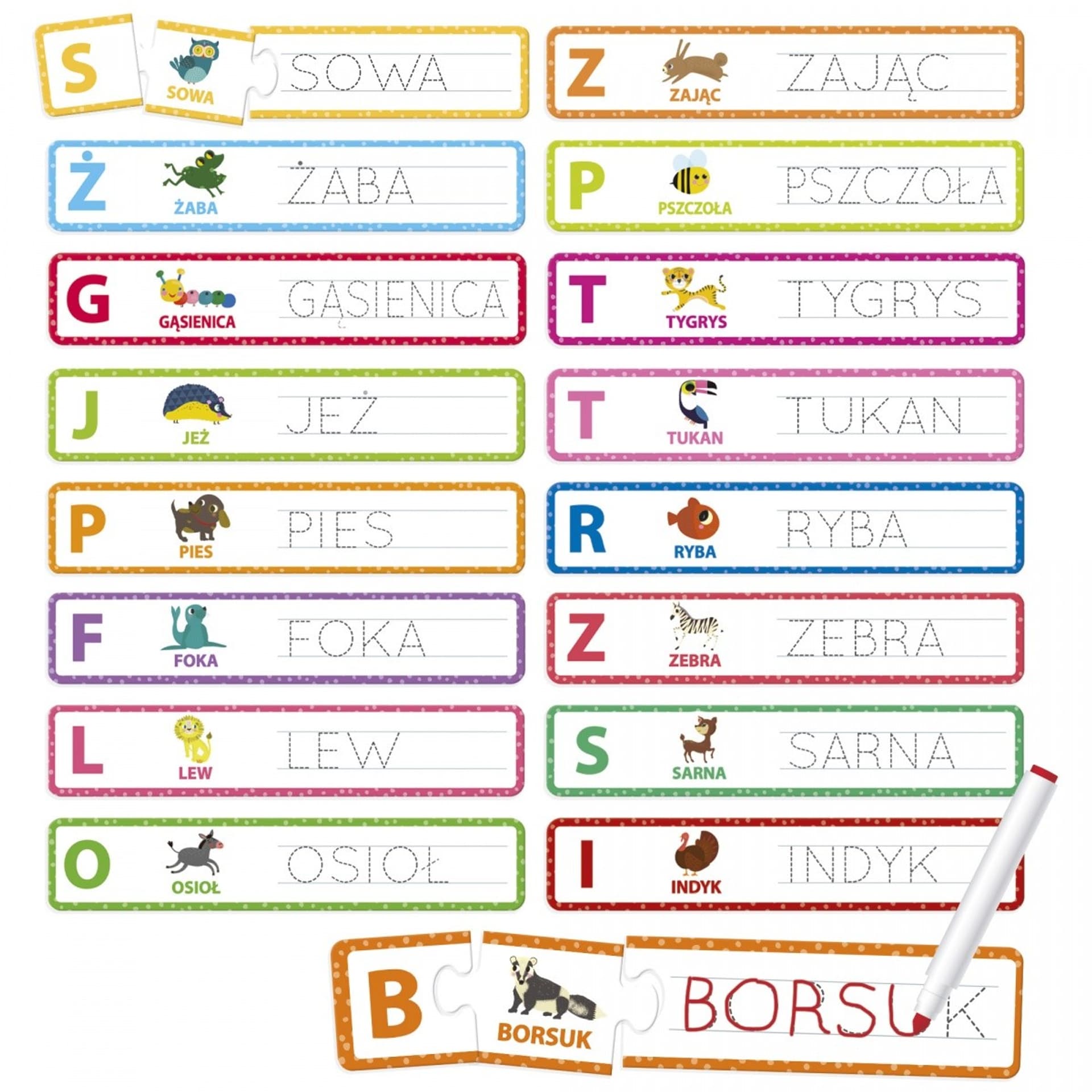 

Zestaw edukacyjny Carotina Czytam, piszę i bawię się - Zwierzęta