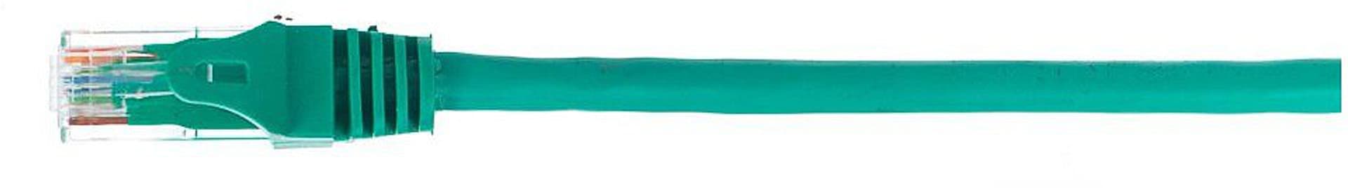 

NETRACK CAT6 UTP 0.5 m Zielony 0.5 Patchcord