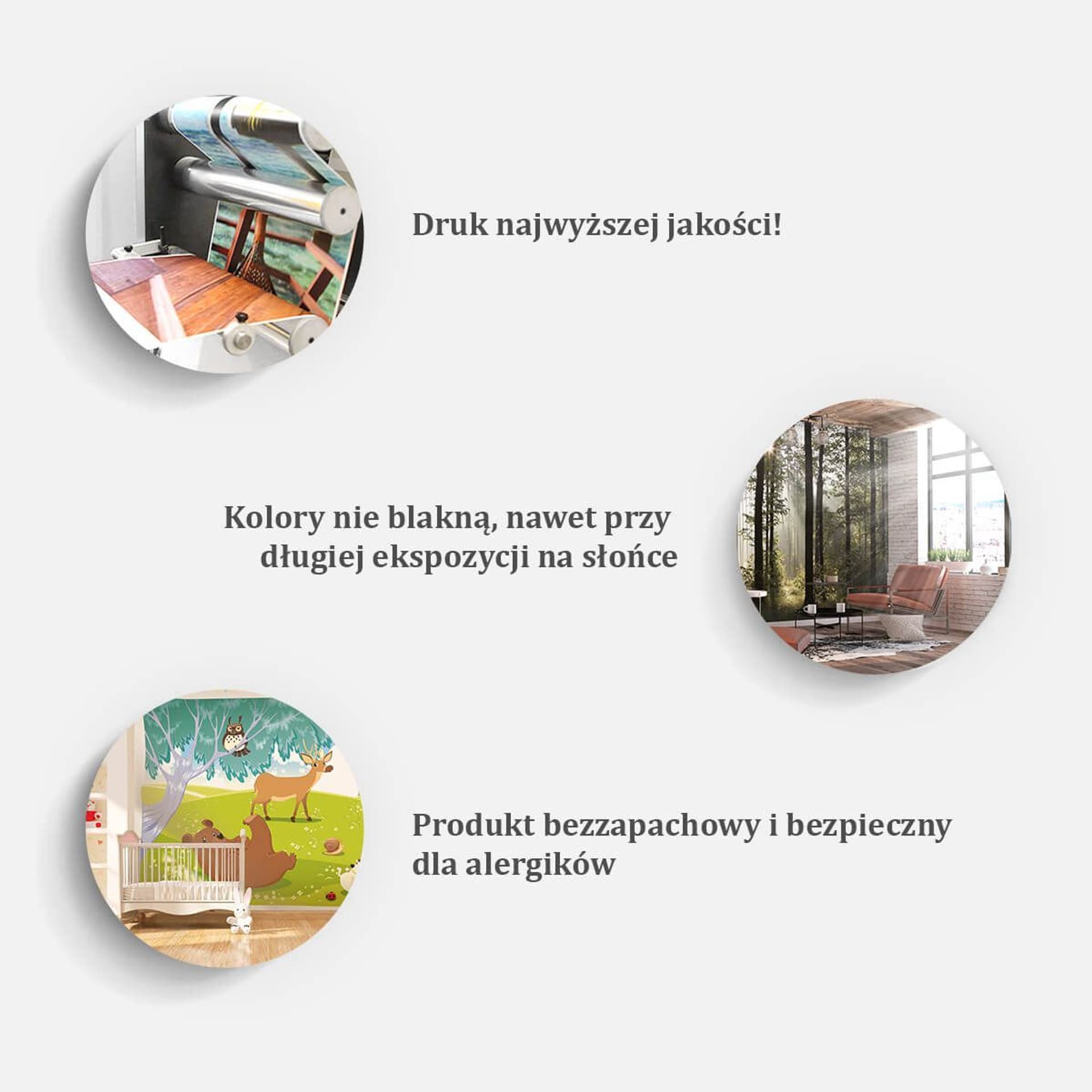 

Fototapeta samoprzylepna - Kolorowy król (rozmiar 98x70)