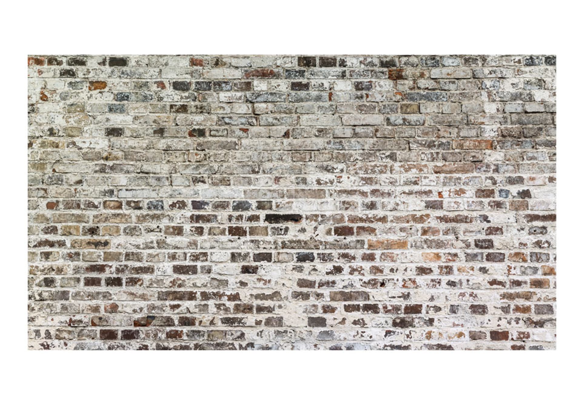 

Fototapeta XXL - Mury czasu (rozmiar 500x280)