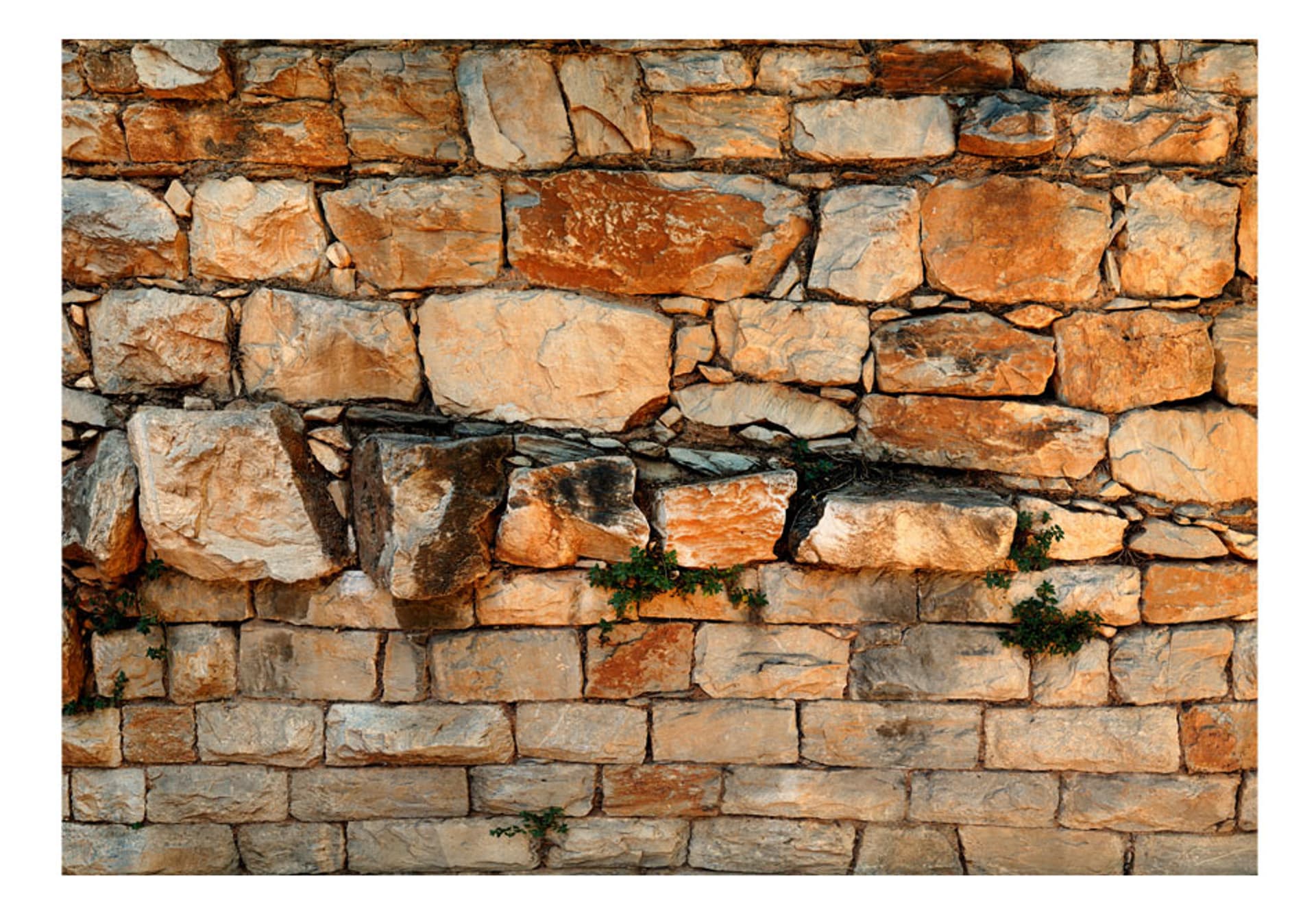 

Fototapeta - Preludium dnia (rozmiar 200x140)