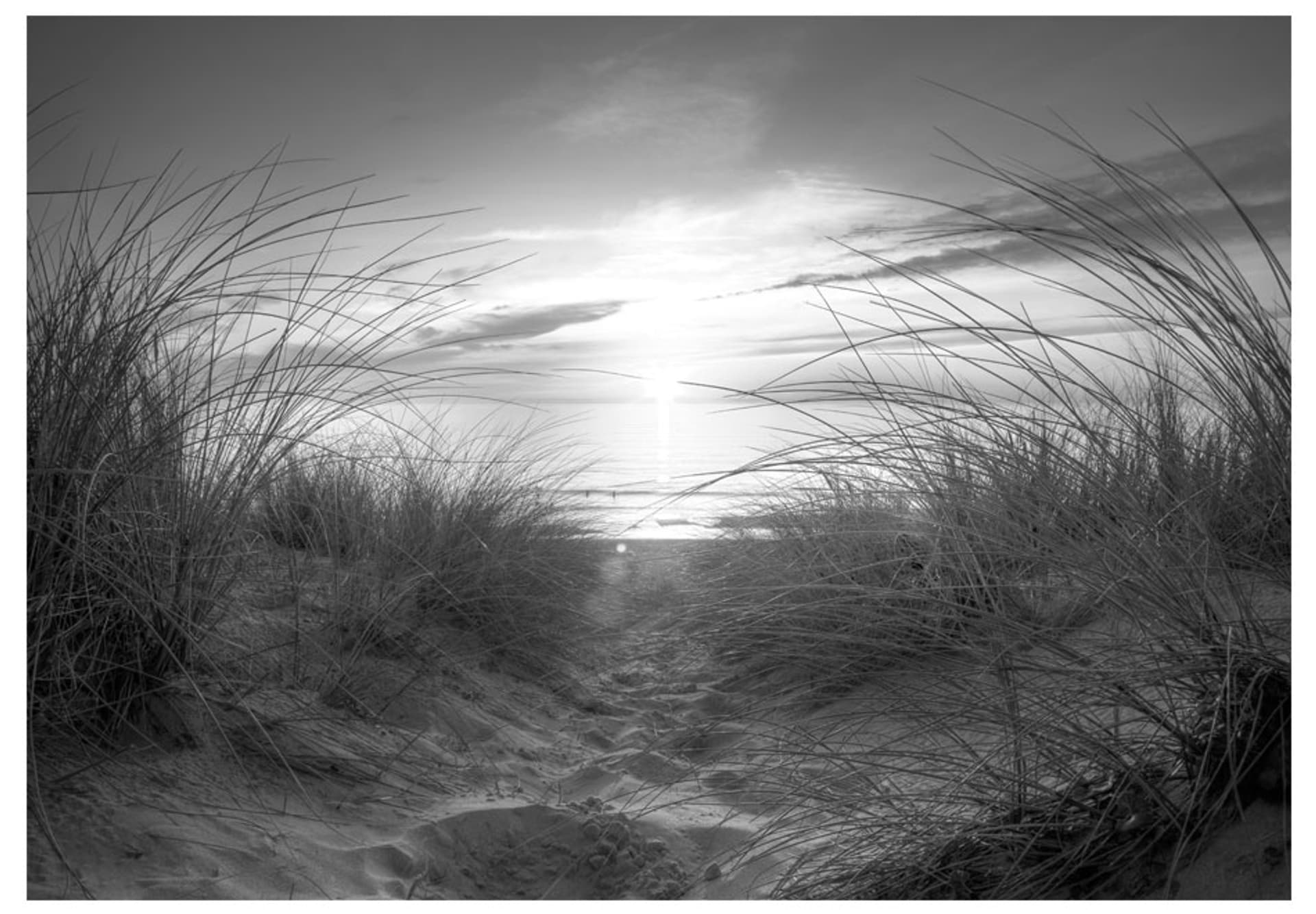 

Fototapeta - plaża (czarno-biały) (rozmiar 250x175)