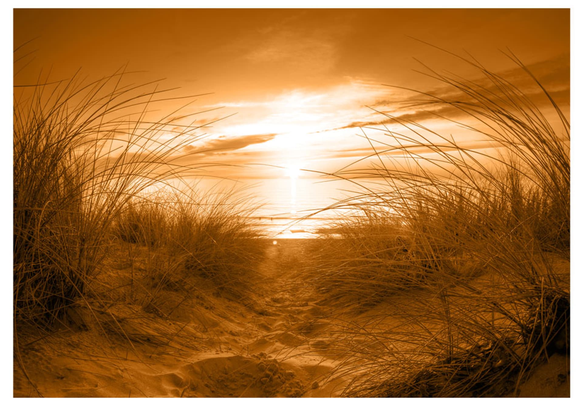 

Fototapeta samoprzylepna - plaża (sepia) (rozmiar 196x140)
