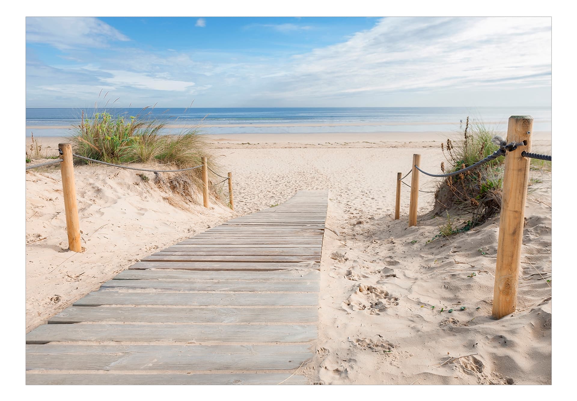 

Fototapeta samoprzylepna - Na plaży (rozmiar 343x245)