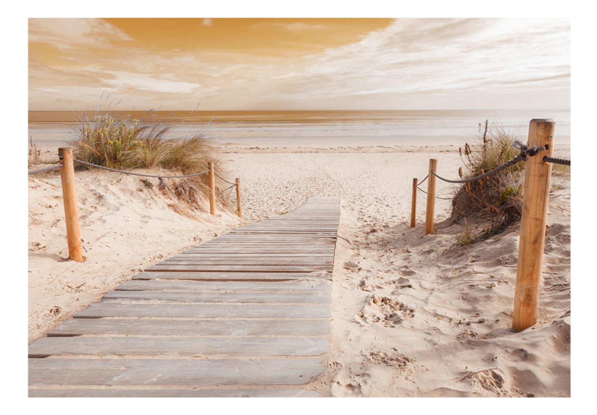 

Fototapeta samoprzylepna - Na plaży - sepia (rozmiar 245x175)