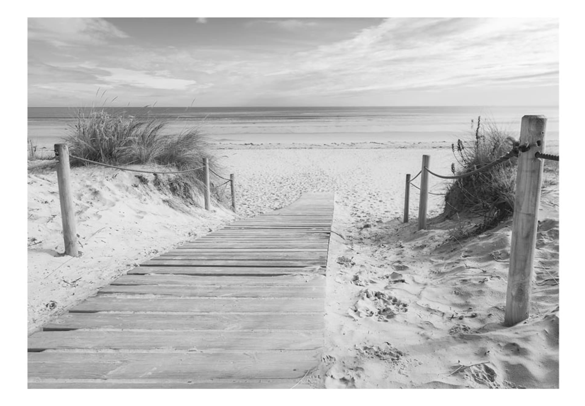 

Fototapeta samoprzylepna - Na plaży - czarno-biały pejzaż (rozmiar 441x315)