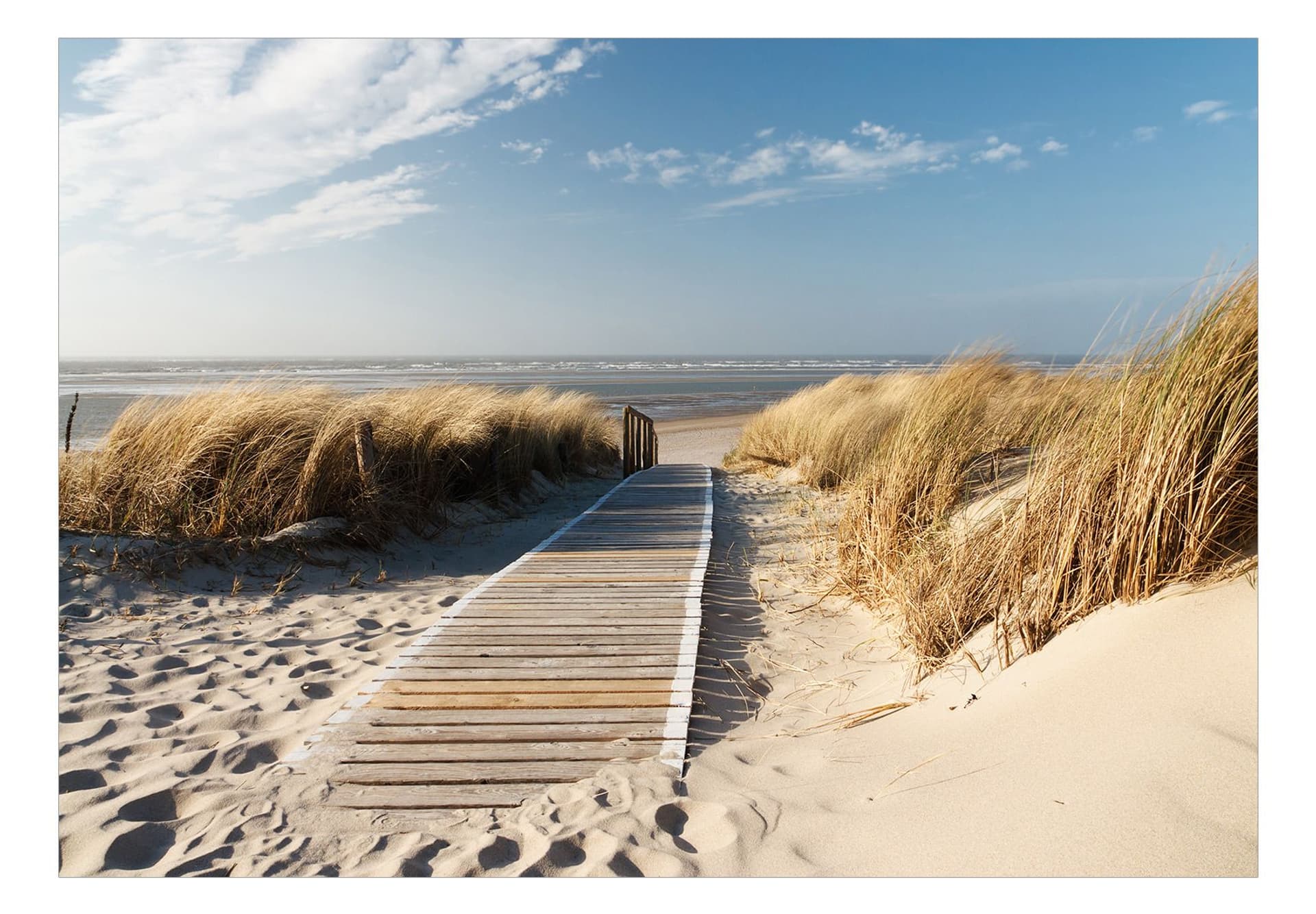 

Fototapeta samoprzylepna - Samotna plaża (rozmiar 196x140)