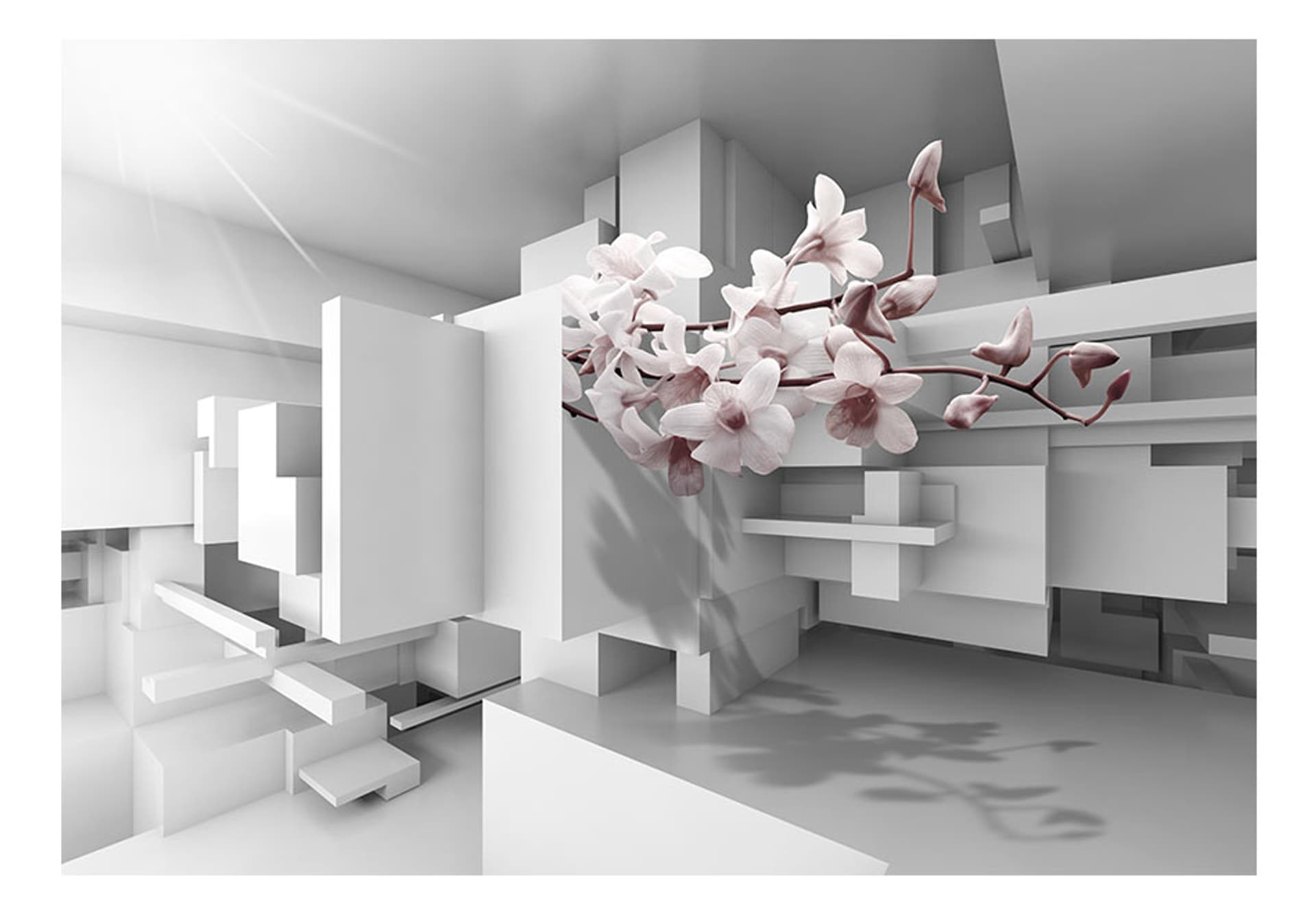 

Fototapeta samoprzylepna - Orchidea 2.0 (rozmiar 98x70)