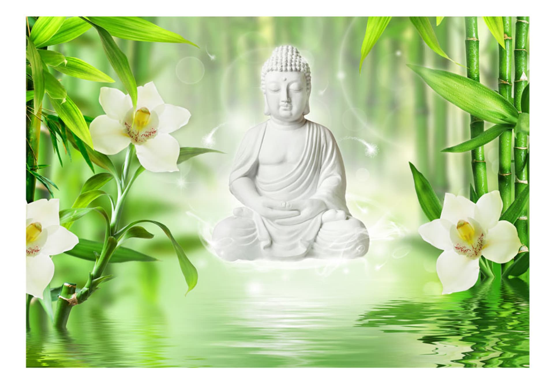 

Fototapeta - Budda i natura (rozmiar 150x105)