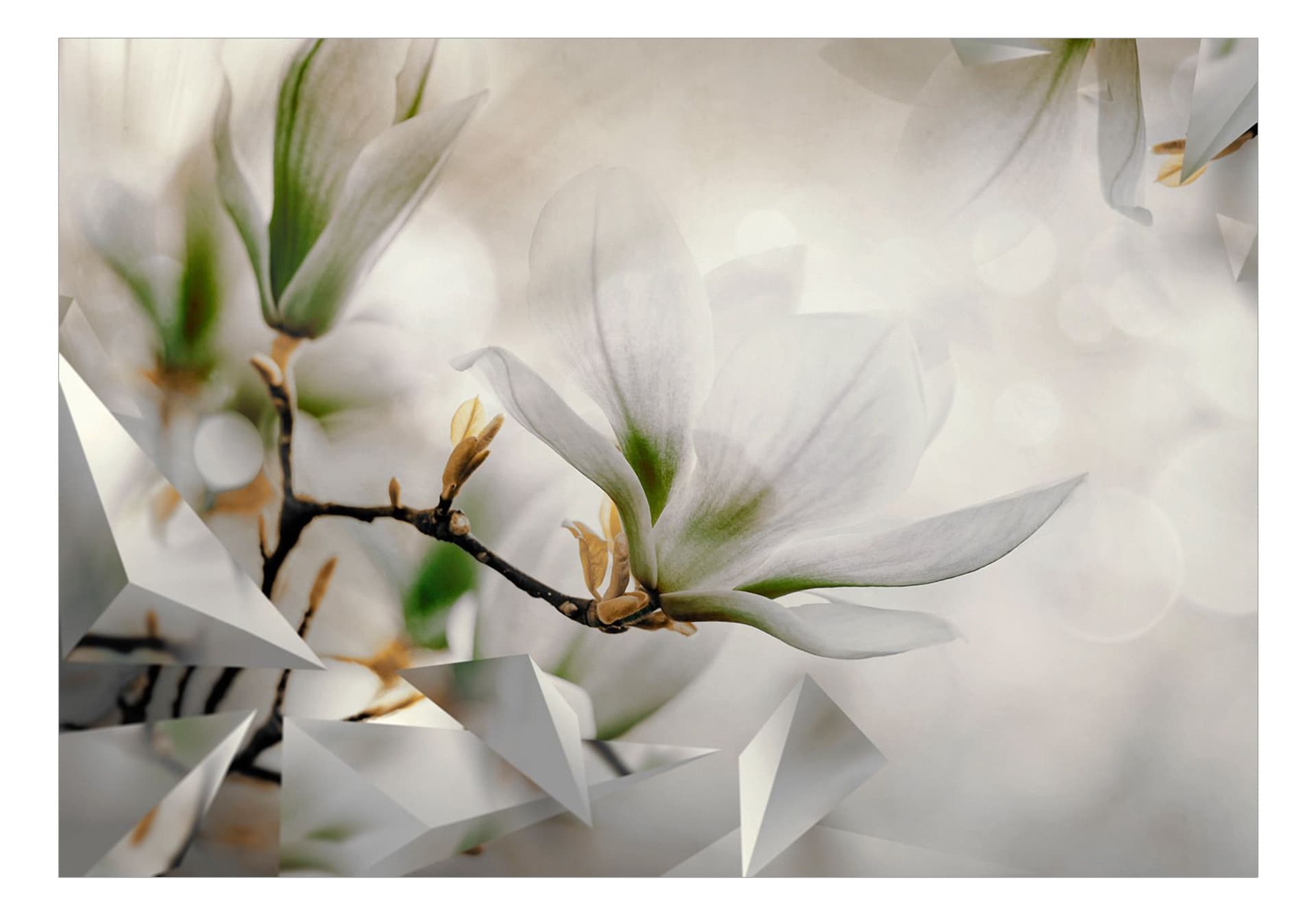 

Fototapeta - Subtelne magnolie - drugi wariant (rozmiar 400x280)