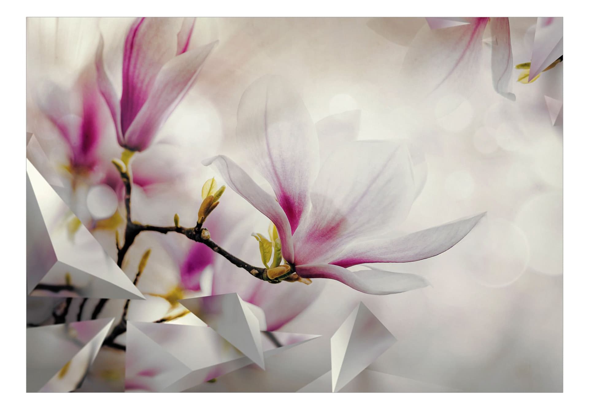 

Fototapeta samoprzylepna - Subtelne magnolie - trzeci wariant (rozmiar 98x70)