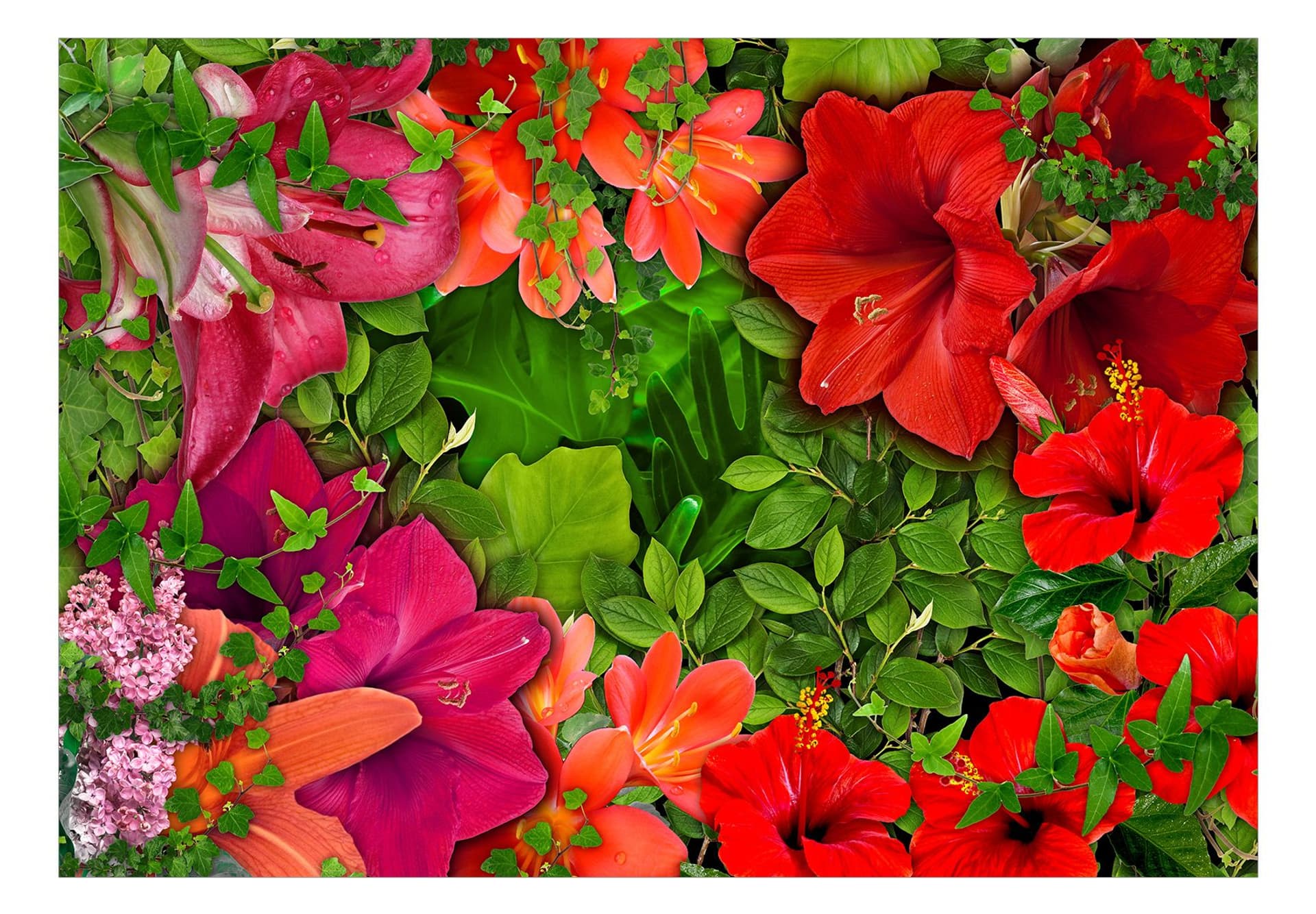 

Fototapeta samoprzylepna - Liliowa serenada (rozmiar 245x175)