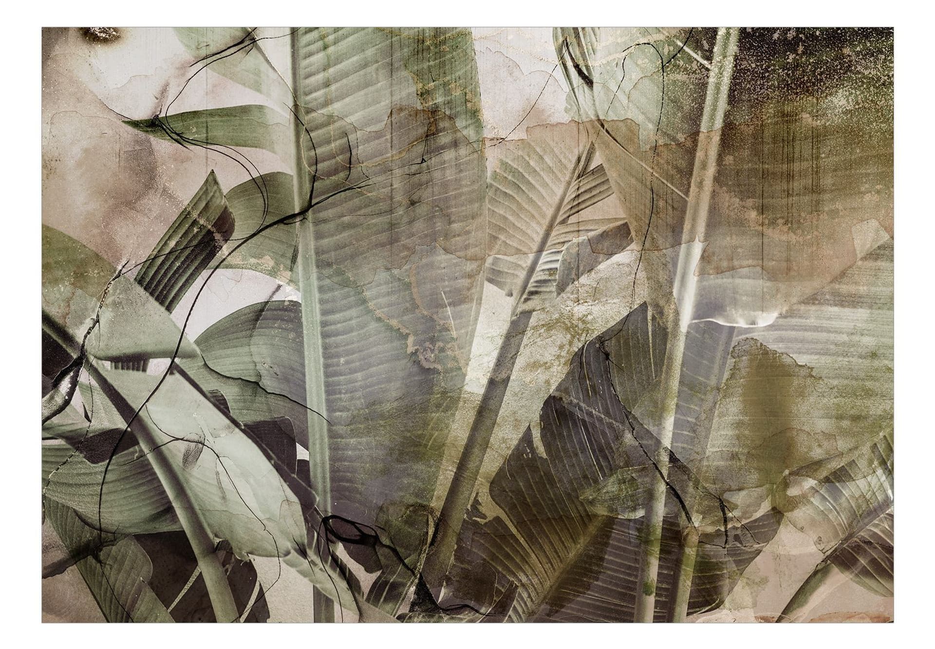 

Fototapeta samoprzylepna - Bananowa dżungla (rozmiar 98x70)