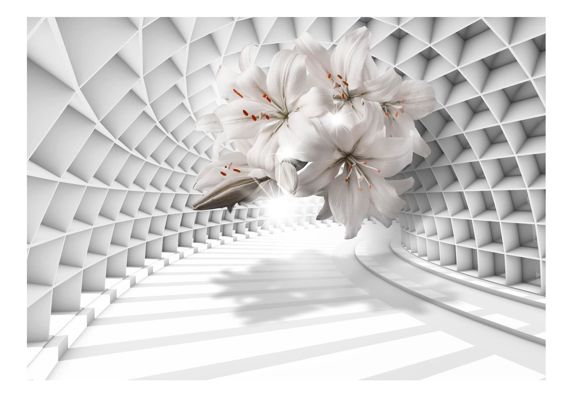 

Fototapeta - Kwiaty w tunelu (rozmiar 400x280)