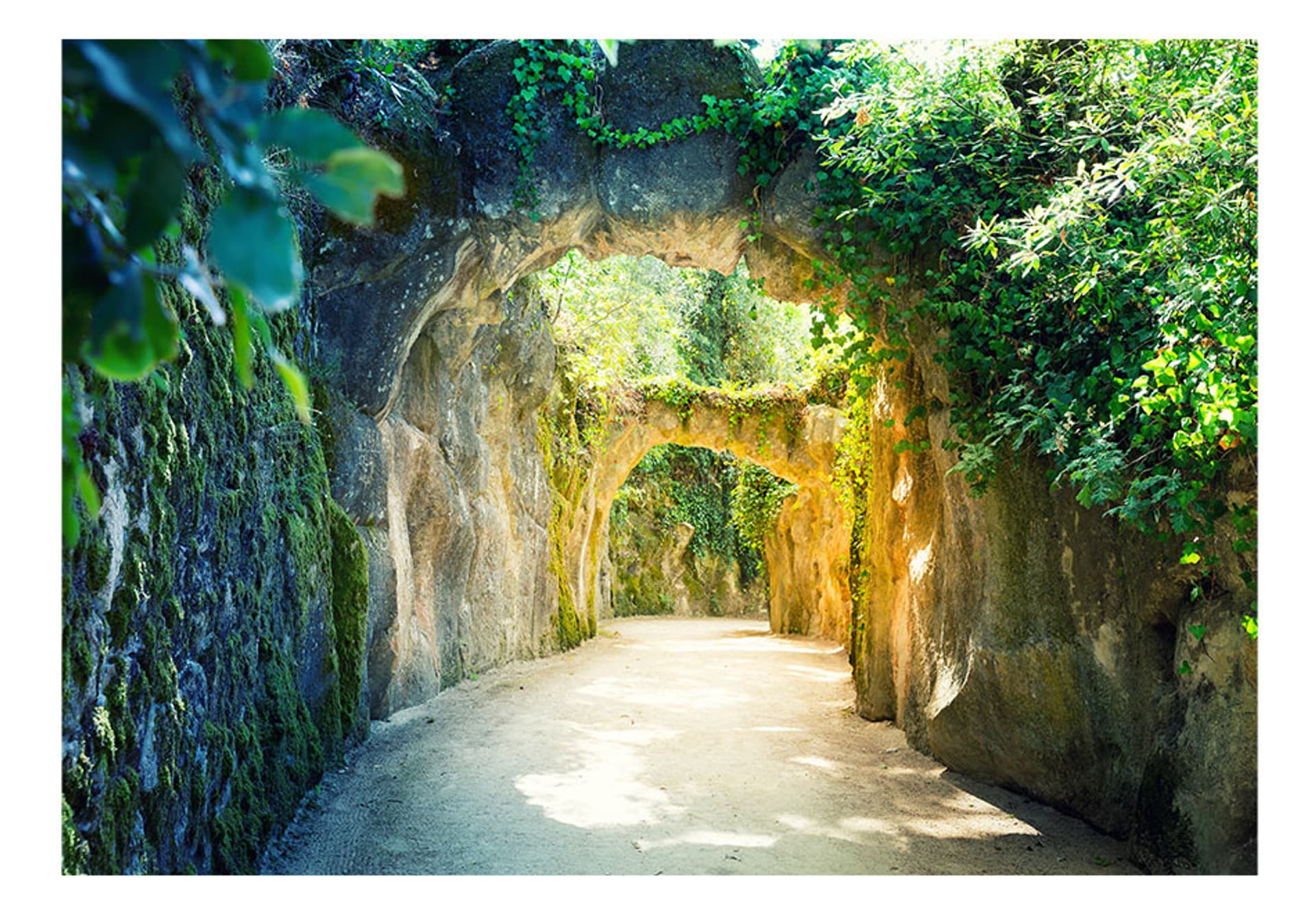 

Fototapeta - Via naturae (rozmiar 300x210)