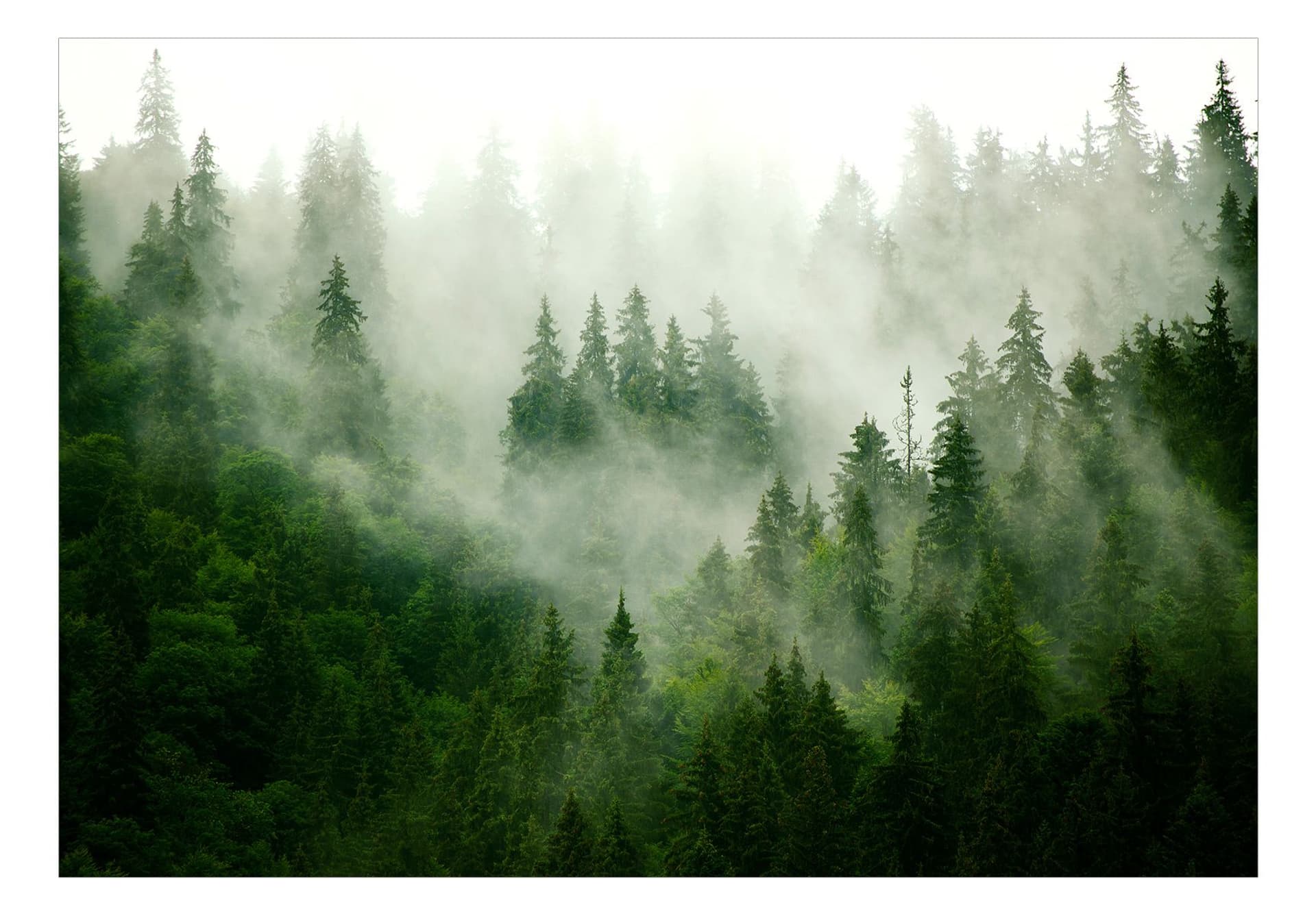 

Fototapeta samoprzylepna - Górski las (zielony) (rozmiar 294x210)