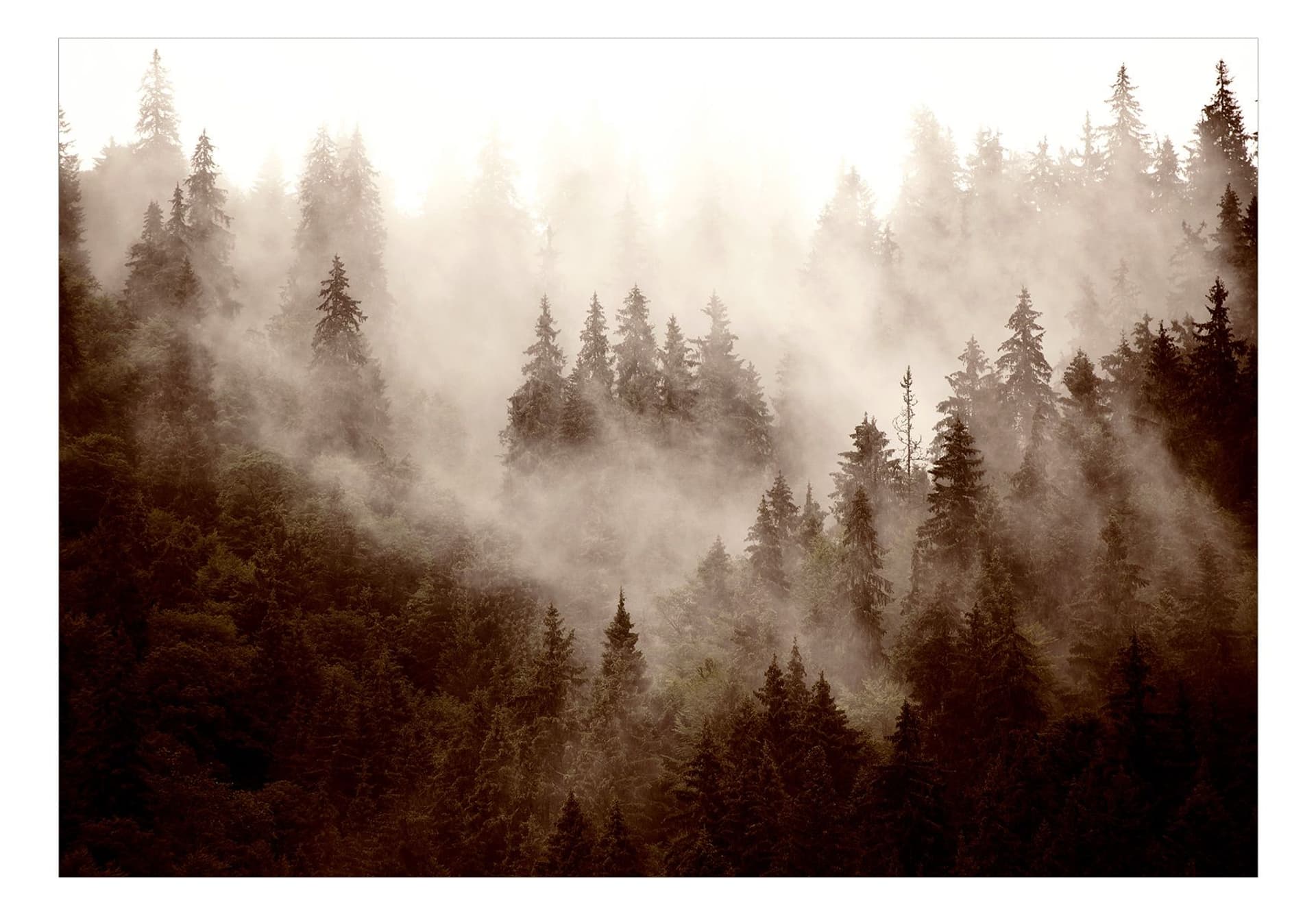 

Fototapeta samoprzylepna - Górski las (sepia) (rozmiar 98x70)