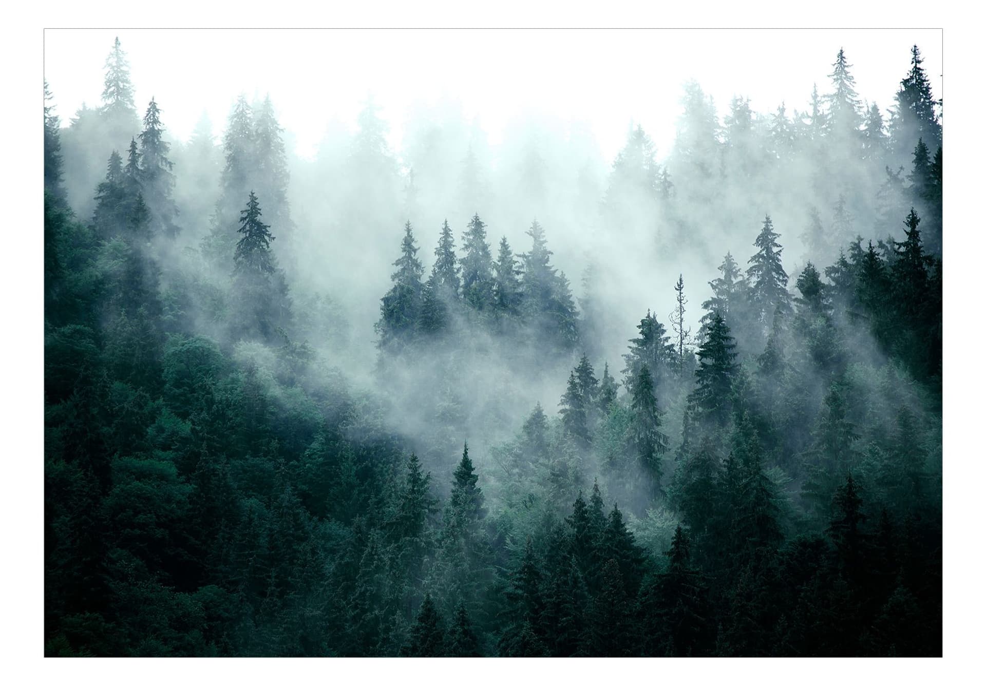 

Fototapeta samoprzylepna - Górski las (ciemny zielony) (rozmiar 245x175)