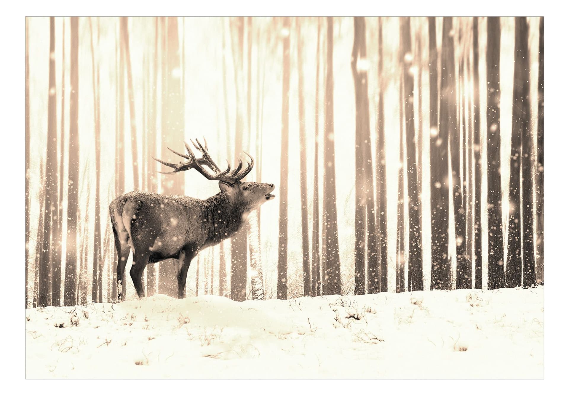 

Fototapeta - Jeleń na śniegu (sepia) (rozmiar 150x105)