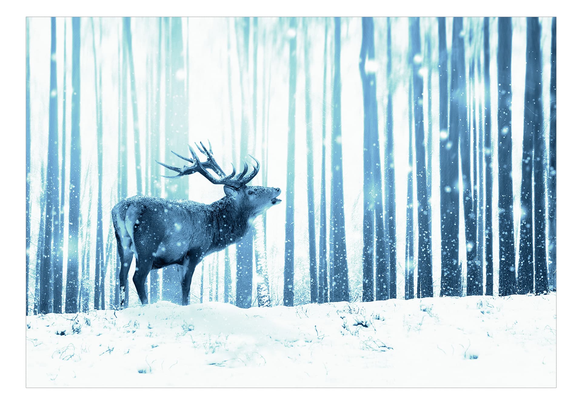 

Fototapeta samoprzylepna - Jeleń na śniegu (niebieski) (rozmiar 98x70)