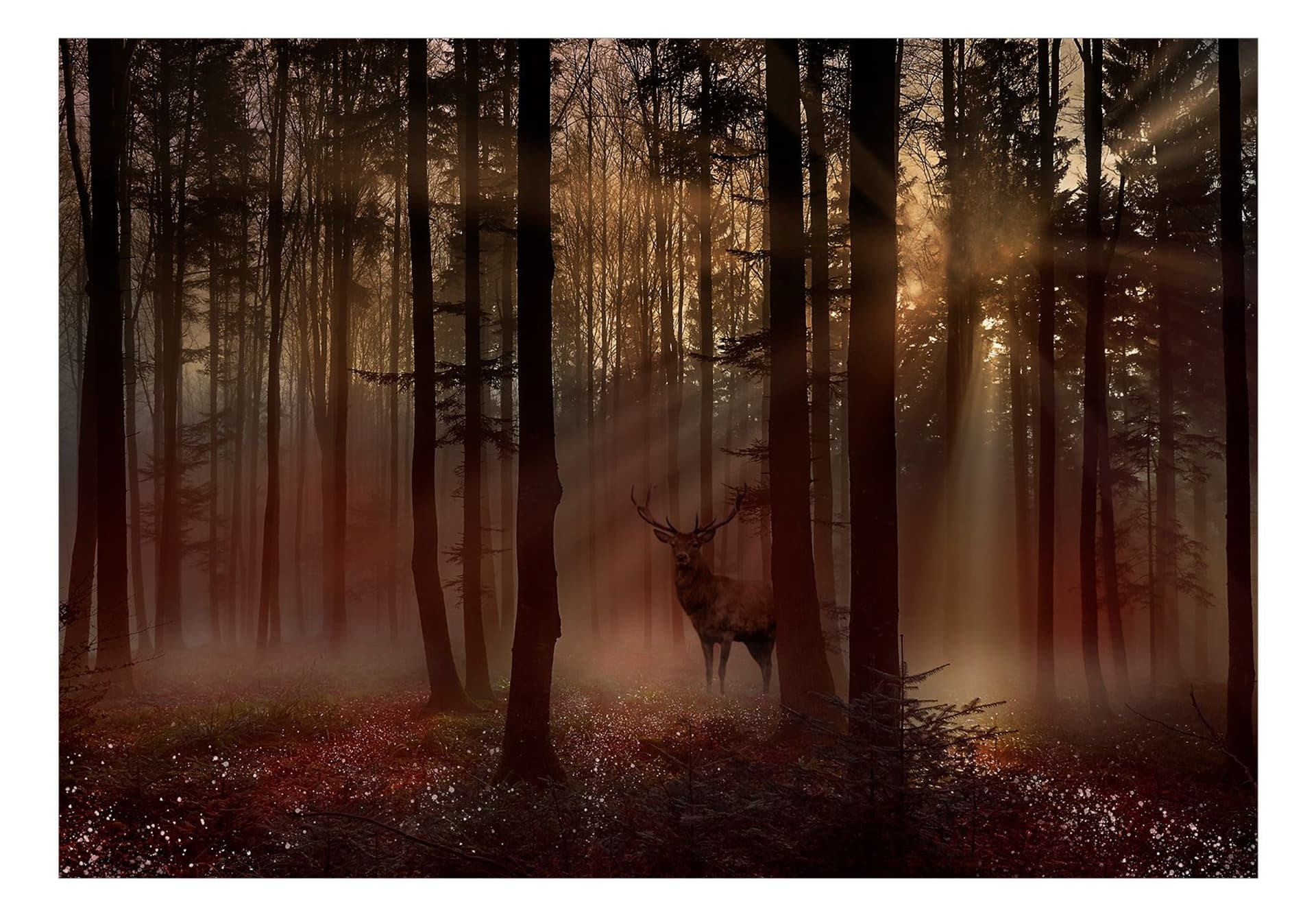 

Fototapeta - Mistyczny las - pierwszy wariant (rozmiar 250x175)