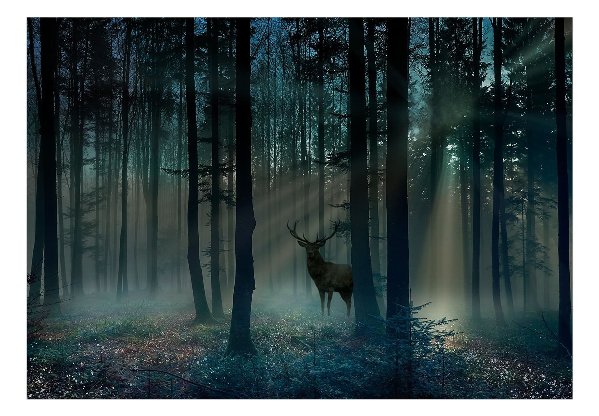 

Fototapeta samoprzylepna - Mistyczny las - trzeci wariant (rozmiar 147x105)