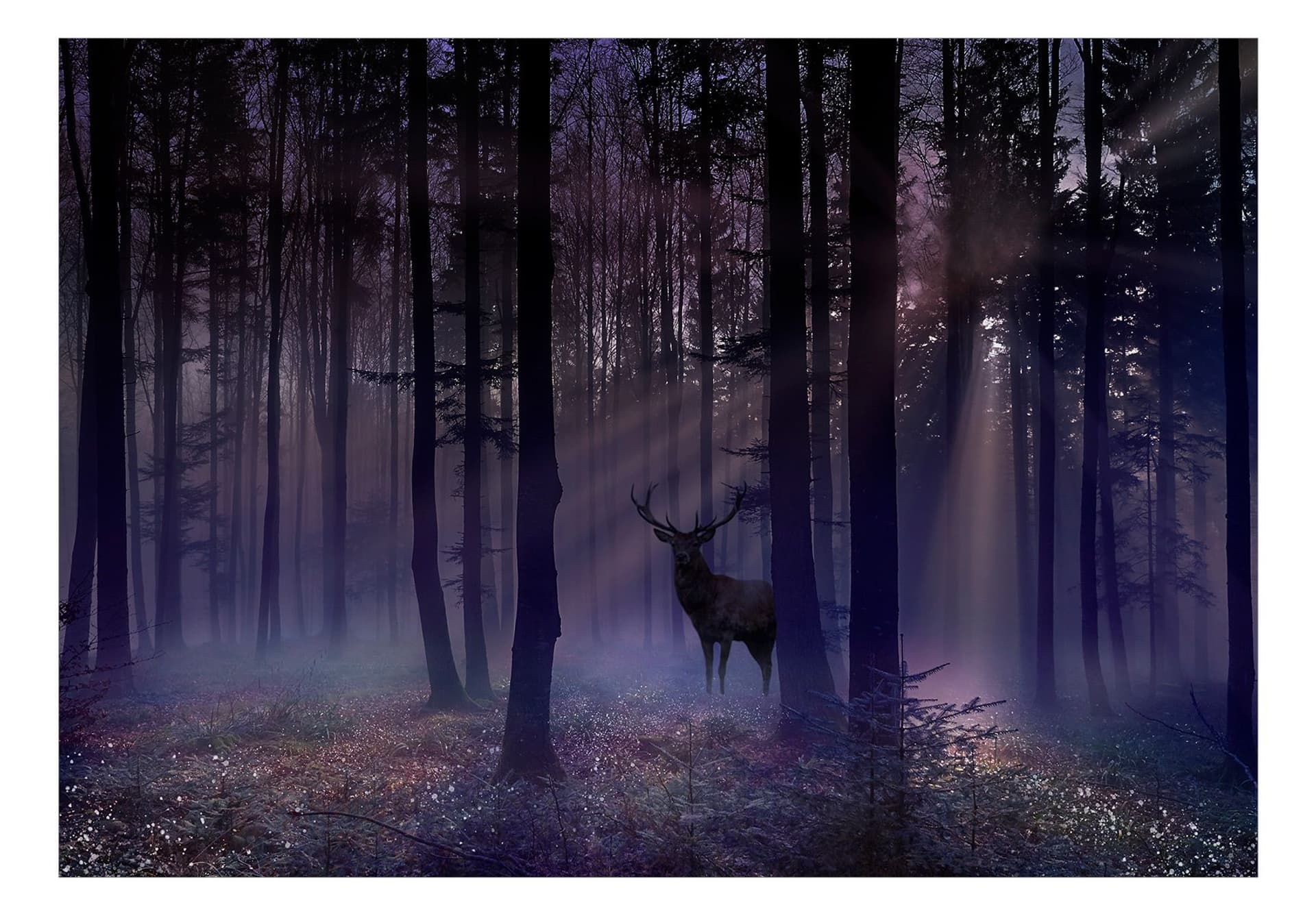 

Fototapeta - Mistyczny las - drugi wariant (rozmiar 200x140)