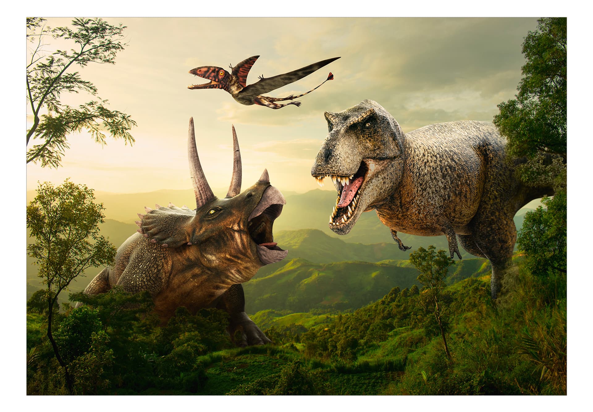 

Fototapeta samoprzylepna - Dinozaurowy plac (rozmiar 392x280)