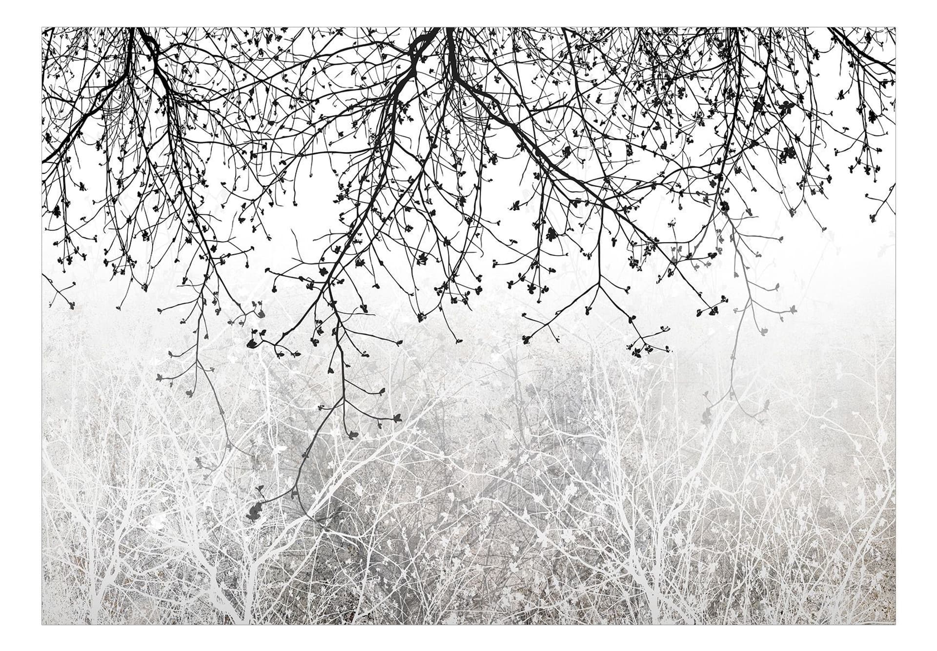 

Fototapeta samoprzylepna - Naturalna jasność (rozmiar 441x315)