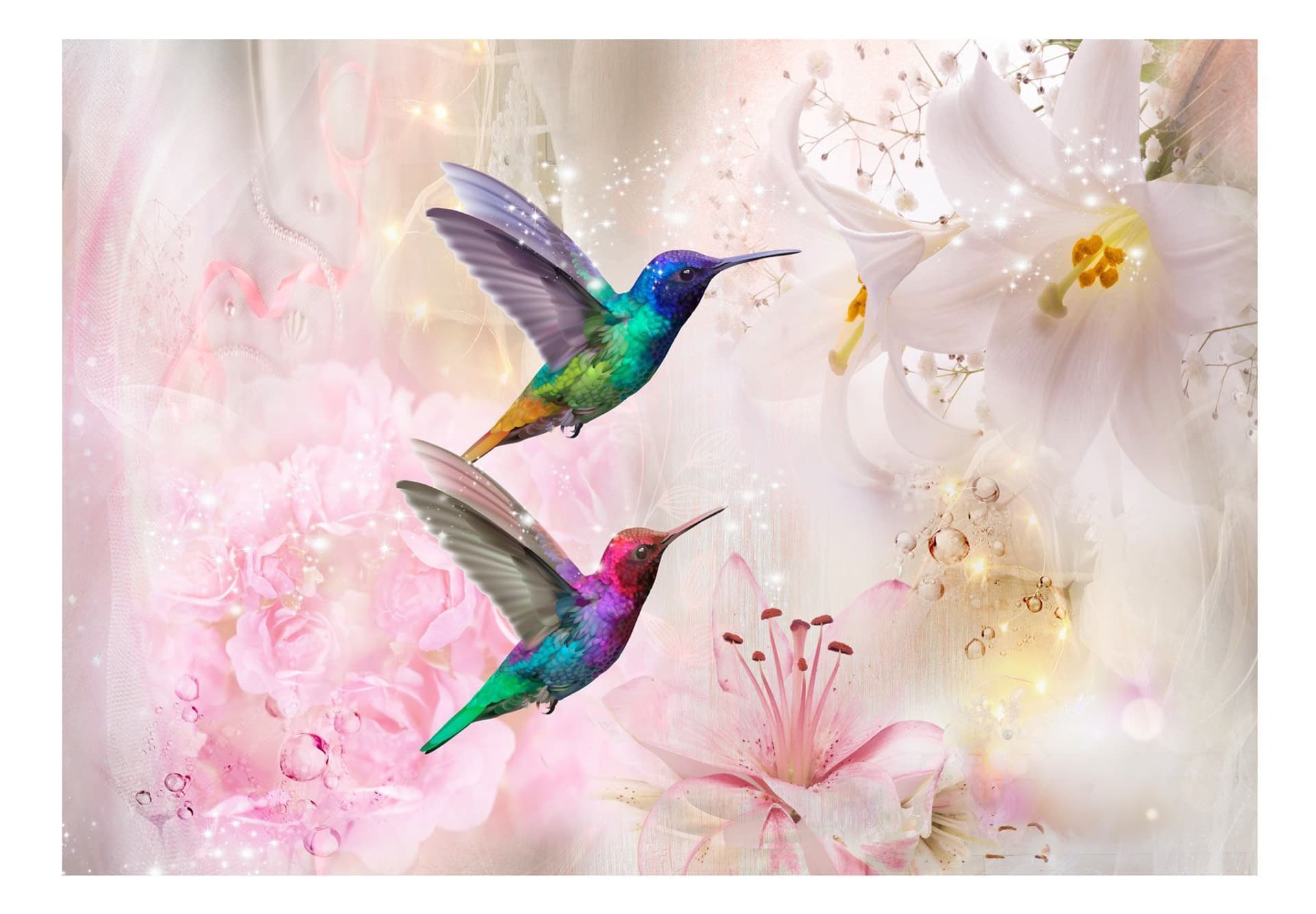 

Fototapeta samoprzylepna - Kolorowe kolibry (różowy) (rozmiar 196x140)